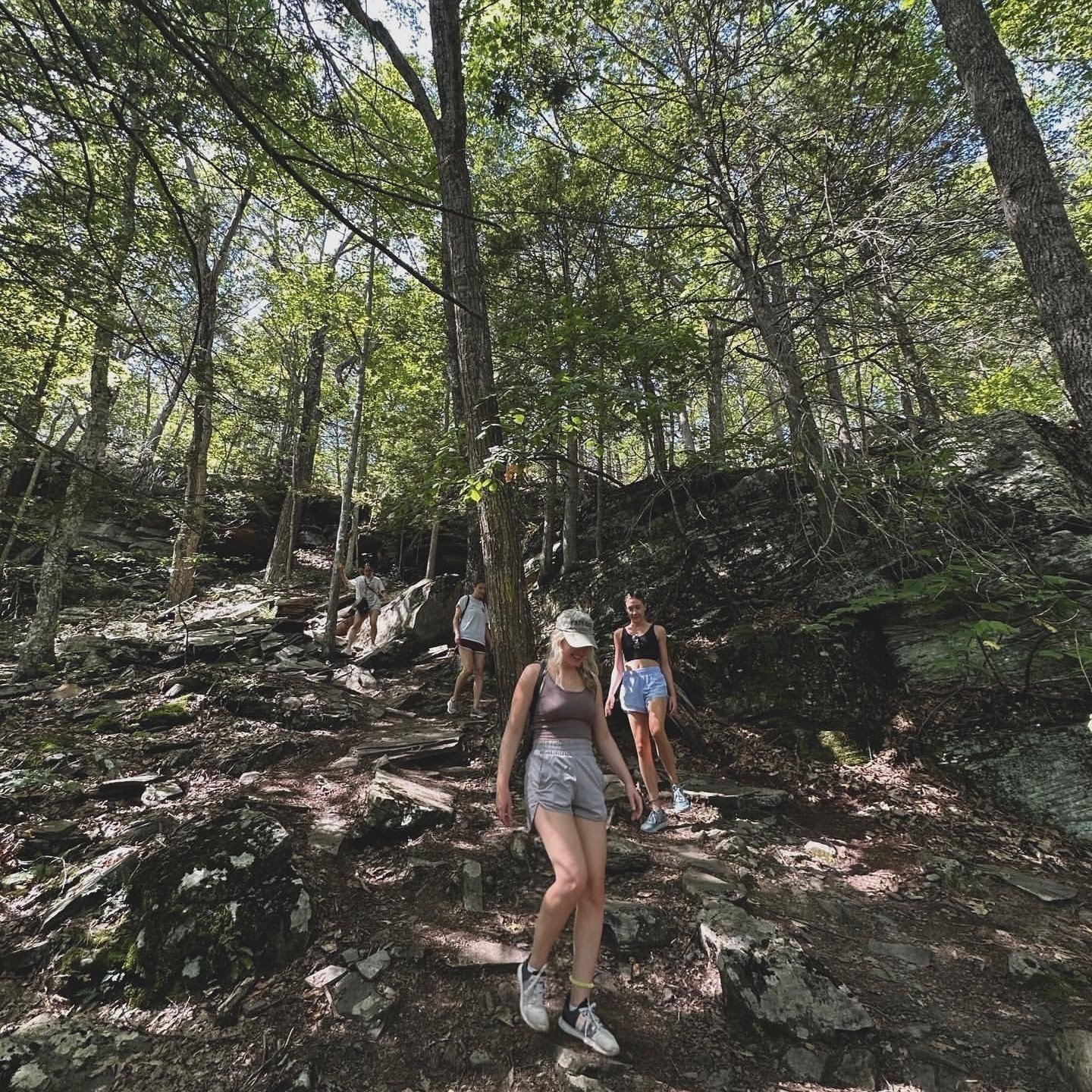 What a weekend to get outside. ☀️ Go for a hike, have a picnic, dip your feet in the stream. 👣 

#NarrowsburgNY

📷 
1. @jilmarher
2. @taylorburtrum
3. mz_pocahantas
4. @sage_sela
5. @snufffkin

#narrowsburg #welcometonarrowsburg #townoftusten #sull