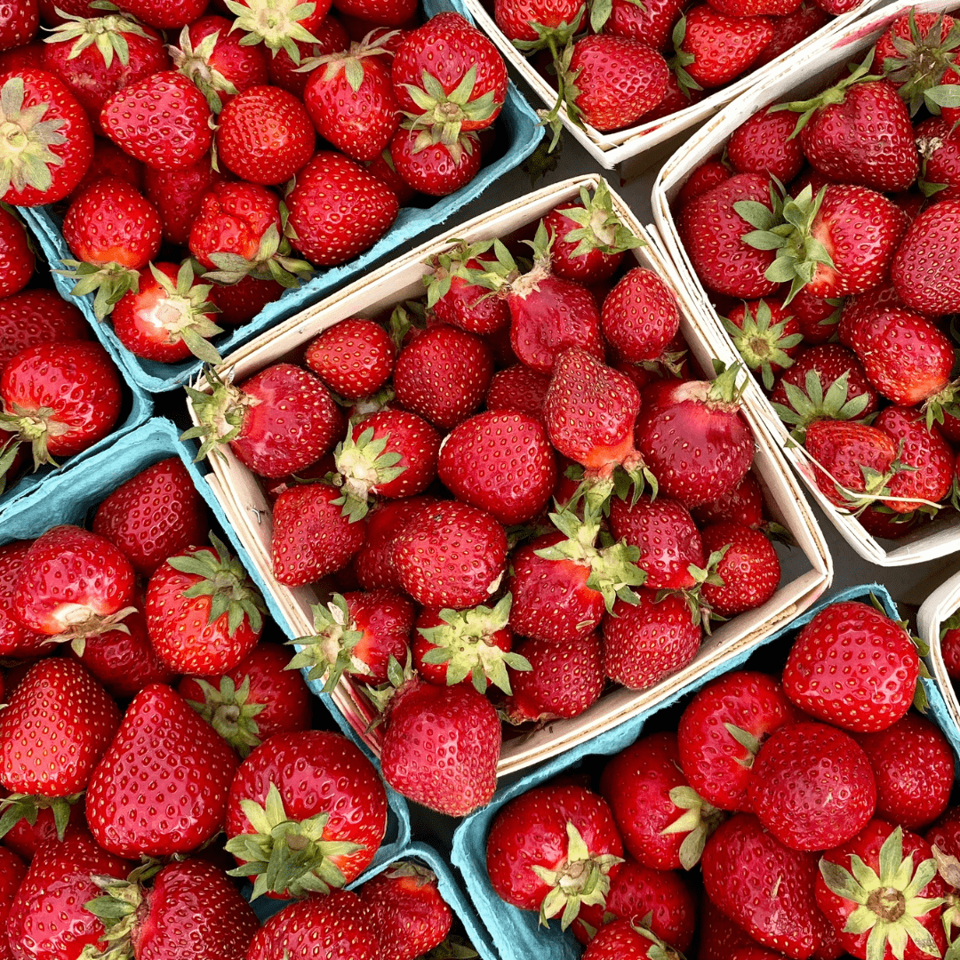 Trapani Farms Strawberries.png
