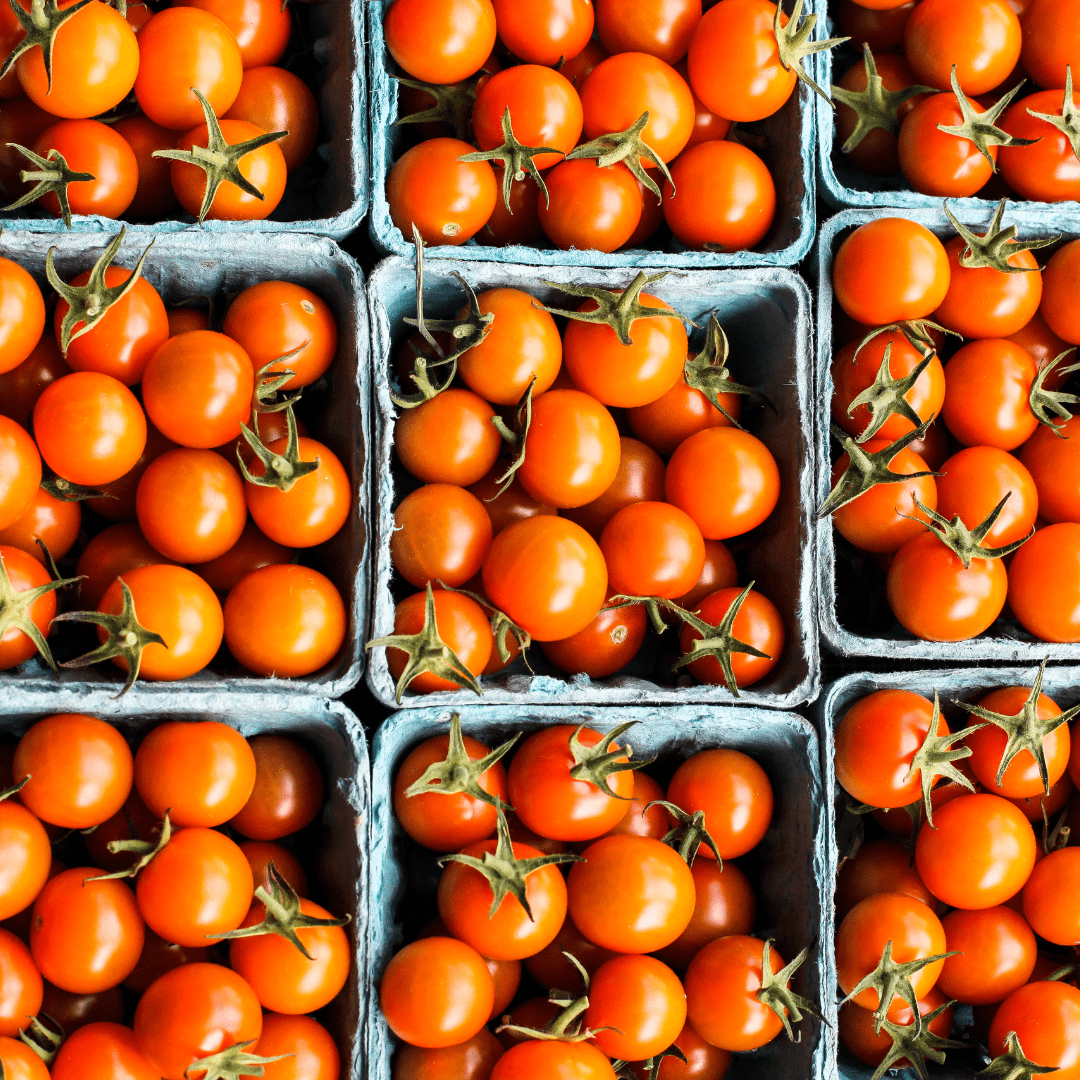 Willow Wisp Organic Farm Sungold Tomatoes.png