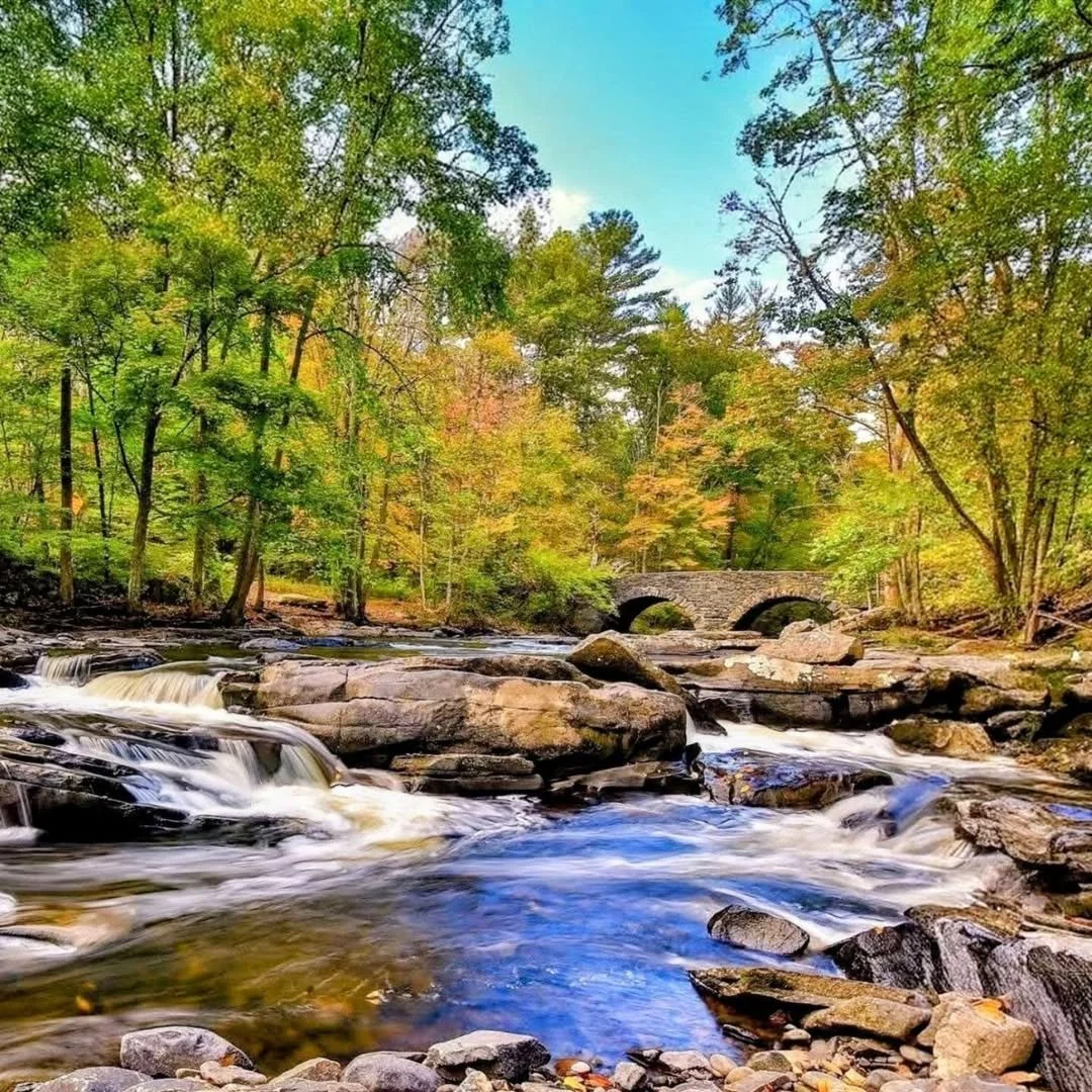 Ten Mile River, meet the Delaware.⁠
⁠
📷️ Thanks @the.pocono.hiker for the photos. ⁠
⁠
Tag us to get yours featured.⁠
⁠
⁠
#narrowsburgbridge #narrowsburgny #narrowsburg #tenmileriver #stonearchbridge #welcometonarrowsburg #townoftusten #sullivancatsk