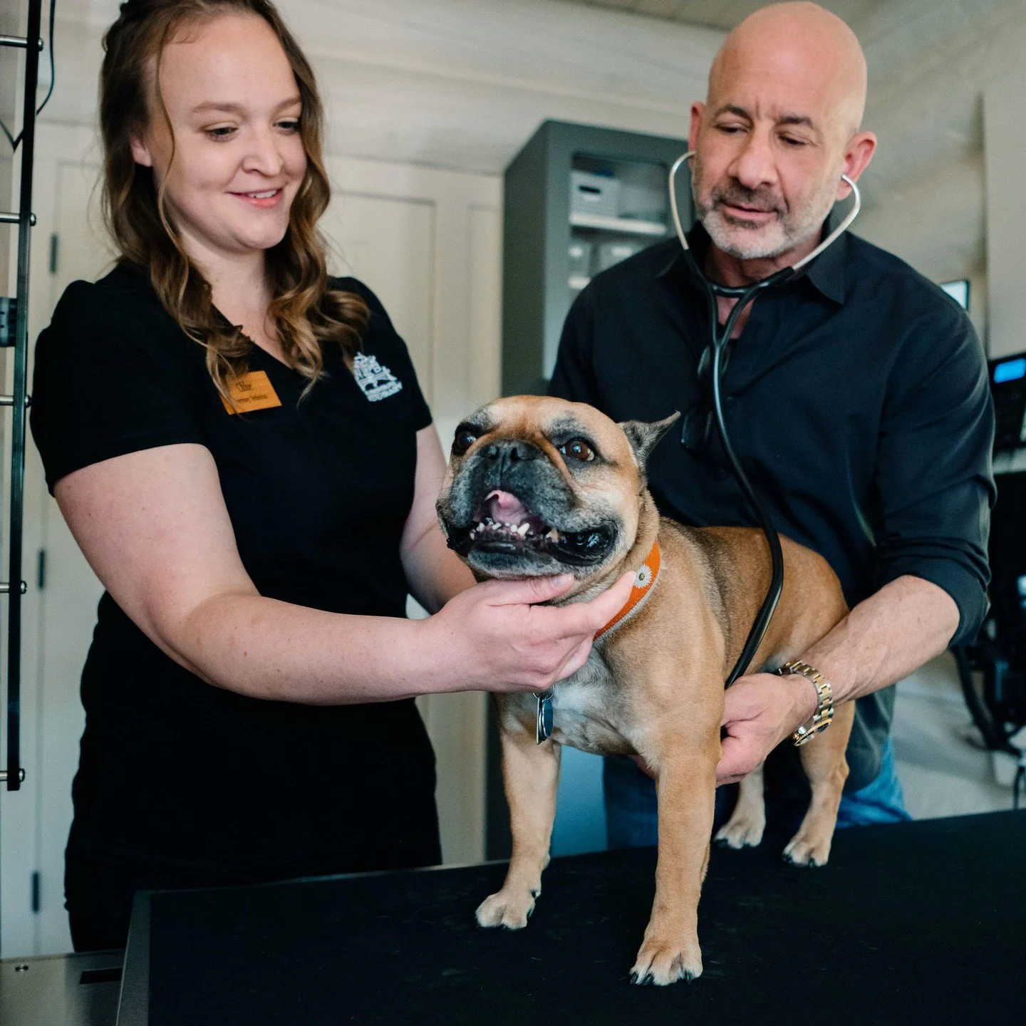🐾 Big hearts, small town care! Leslie &amp; Dr. Neil Hess at Narrowsburg Veterinary keep local pets healthy and happy &mdash; from routine visits to those unexpected emergencies. Open Saturdays too! 🐶🐱 @narrowsburgvet⁠
📍 Narrowsburg | 🔗 link in 