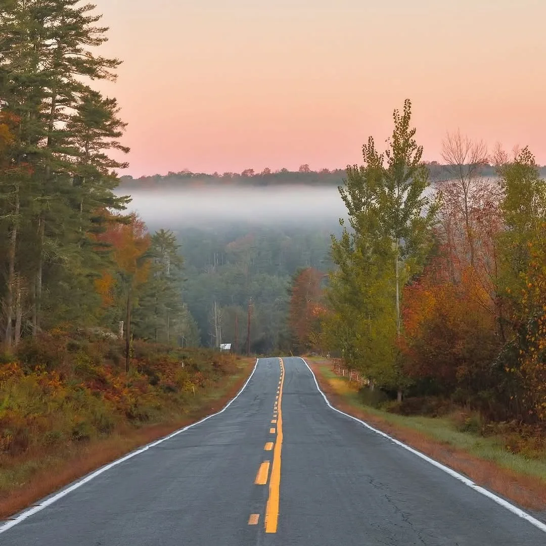 Fog&rsquo;s rolling in, leaves are showing off &mdash; autumn is making its big entrance in #NarrowsburgNY 🌫️🍁⁠
⁠
📷️ @seanmillsphotos