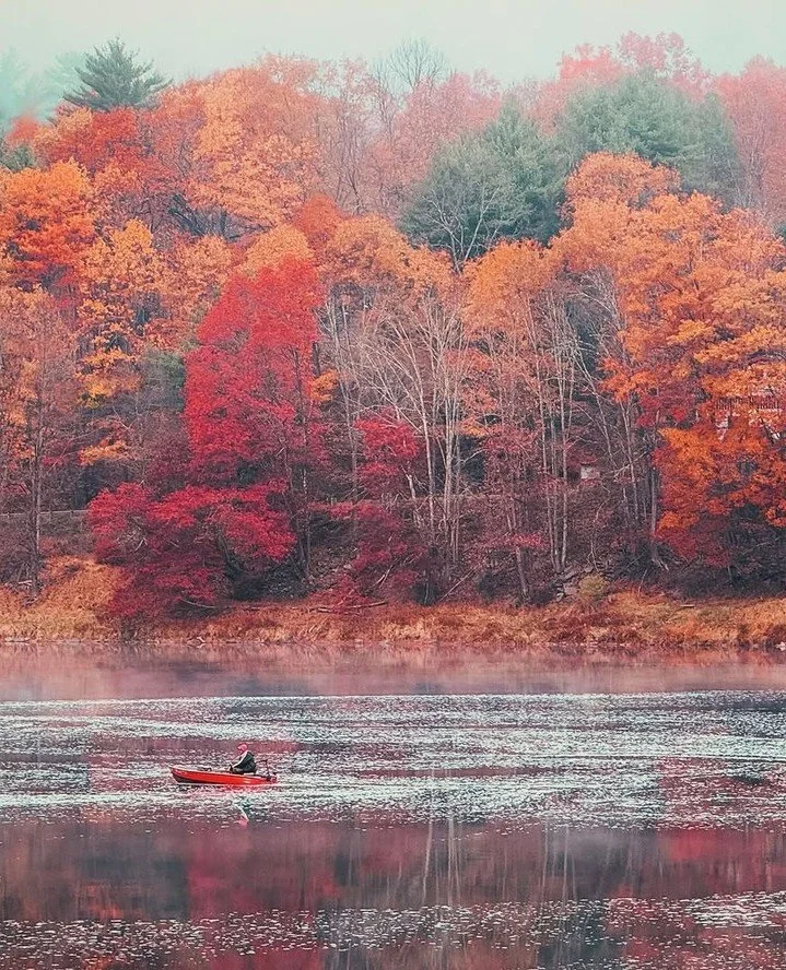 Fall in love with Narrowsburg all over again 🍂⁠
⁠
📷️ @jriffeyphotog⁠
⁠
#NarrowsburgNY