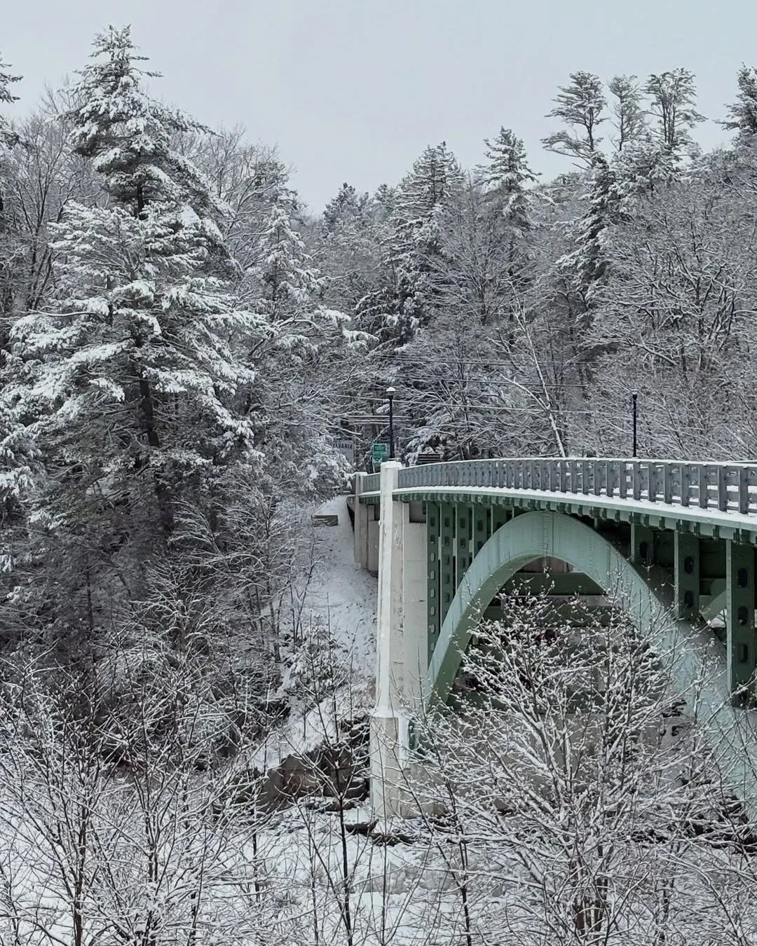 ❄️ Save the date ❄️
🗓️ Monday, February 2 at 6 pm
📍 @bluefoxmotel 

The Narrowsburg Chamber of Commerce Annual Meeting is coming up. A chance to gather with fellow business owners, share some good conversation, enjoy a generous spread of compliment