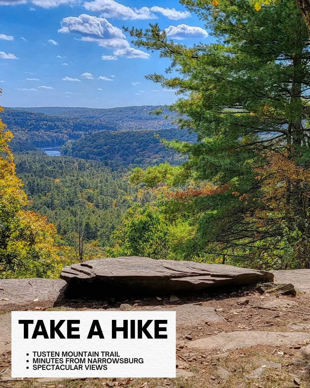 Just a few miles from Narrowsburg, Tusten Mountain Trail is one of those places that simply has it all 🌲⁠
⁠
Fresh air, big Delaware River valley views, towering pines, and those giant rock ledges that make you want to stop for a while ⛰️ Along the w