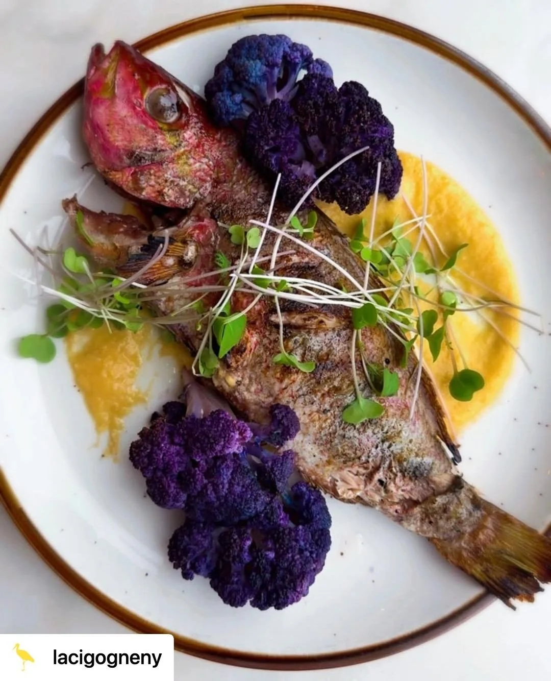 ❓️ Where to eat in #NarrowsburgNY? You've got options!⁠ 😋 📞 Call ahead for Easter hours and specials!⁠ 🐰⁠
⁠
1. @lacigogne⁠ny⁠
2. @bridgeandmainny⁠
3. @thelaundrette⁠
4.  @smokd_catskills at @bigeddybrewingco⁠
5. @bluefoxmotel⁠
6. @2queenscoffee⁠
7