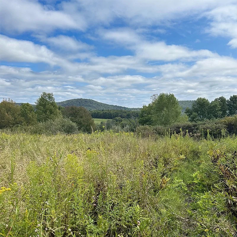 Ecotone Home Narrowsburg Chamber 2.jpg