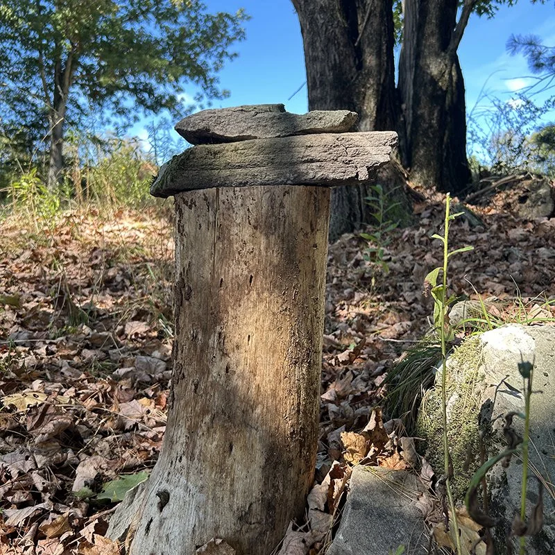 Ecotone Home Narrowsburg Chamber 7.JPG