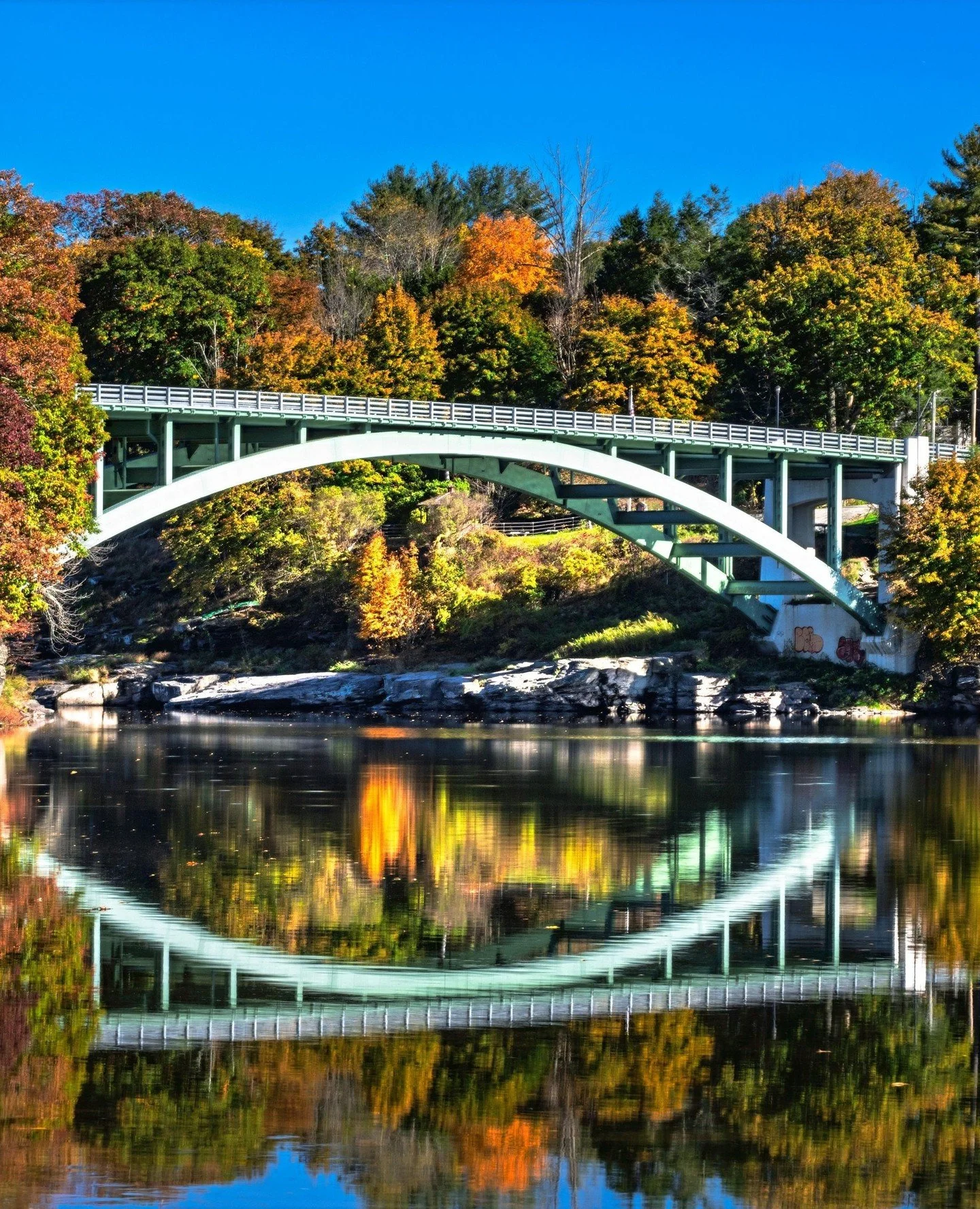 A view we never get tired of.⁠
⁠
📷️ @littleoxer Narrowsburg, NY⁠