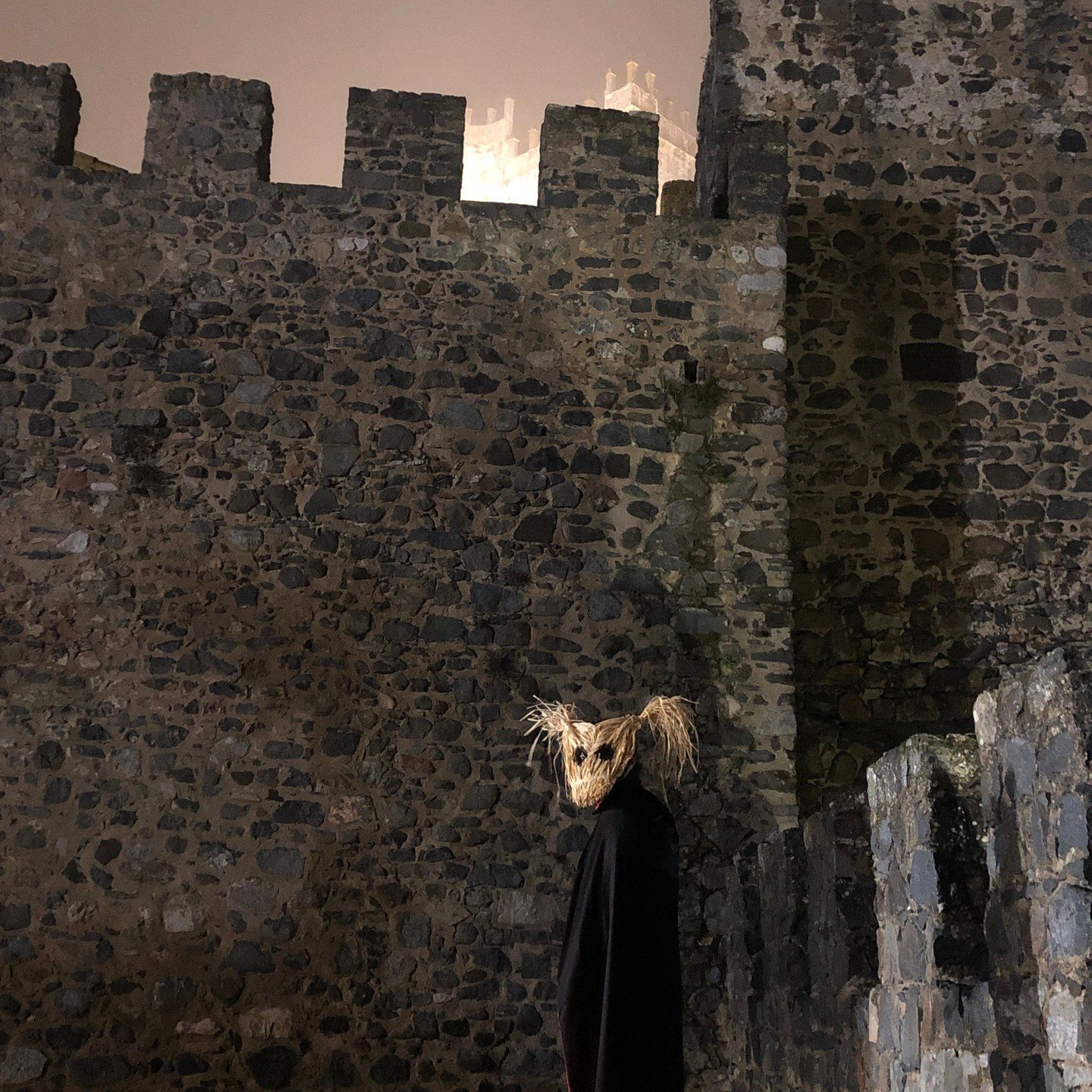A mysterious and elusive presence lingers within the ancient walls of the castle, shrouded in a cloak of darkness. Its masked visage strikes fear into the hearts of those who dare to venture near. Whispers of its haunting presence echo through the co