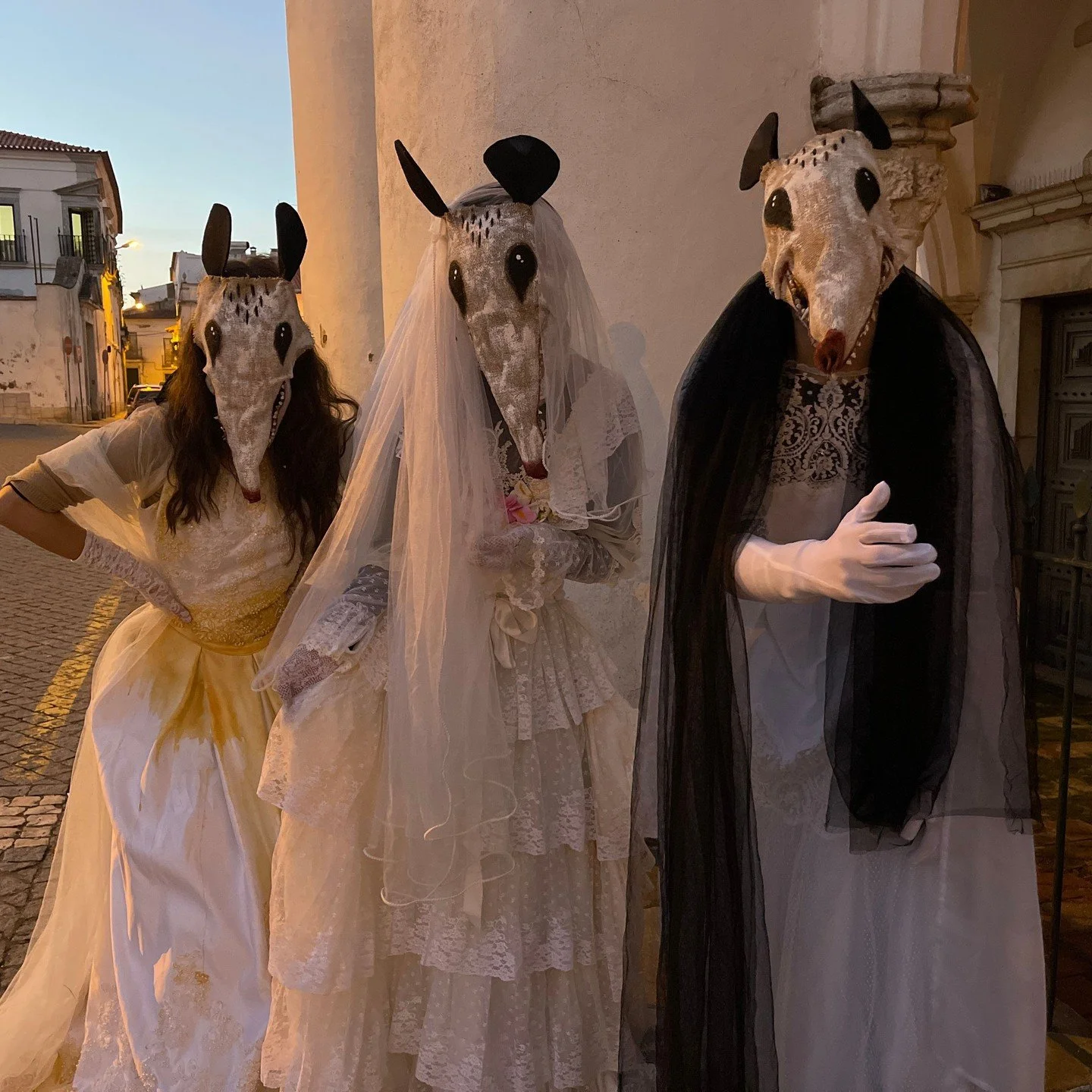 Possum Masks for Photos, Videos, Halloween, Masquerades, Parades, and Special Events
#halloween #possumcore #possummask #crookedcrowmasks