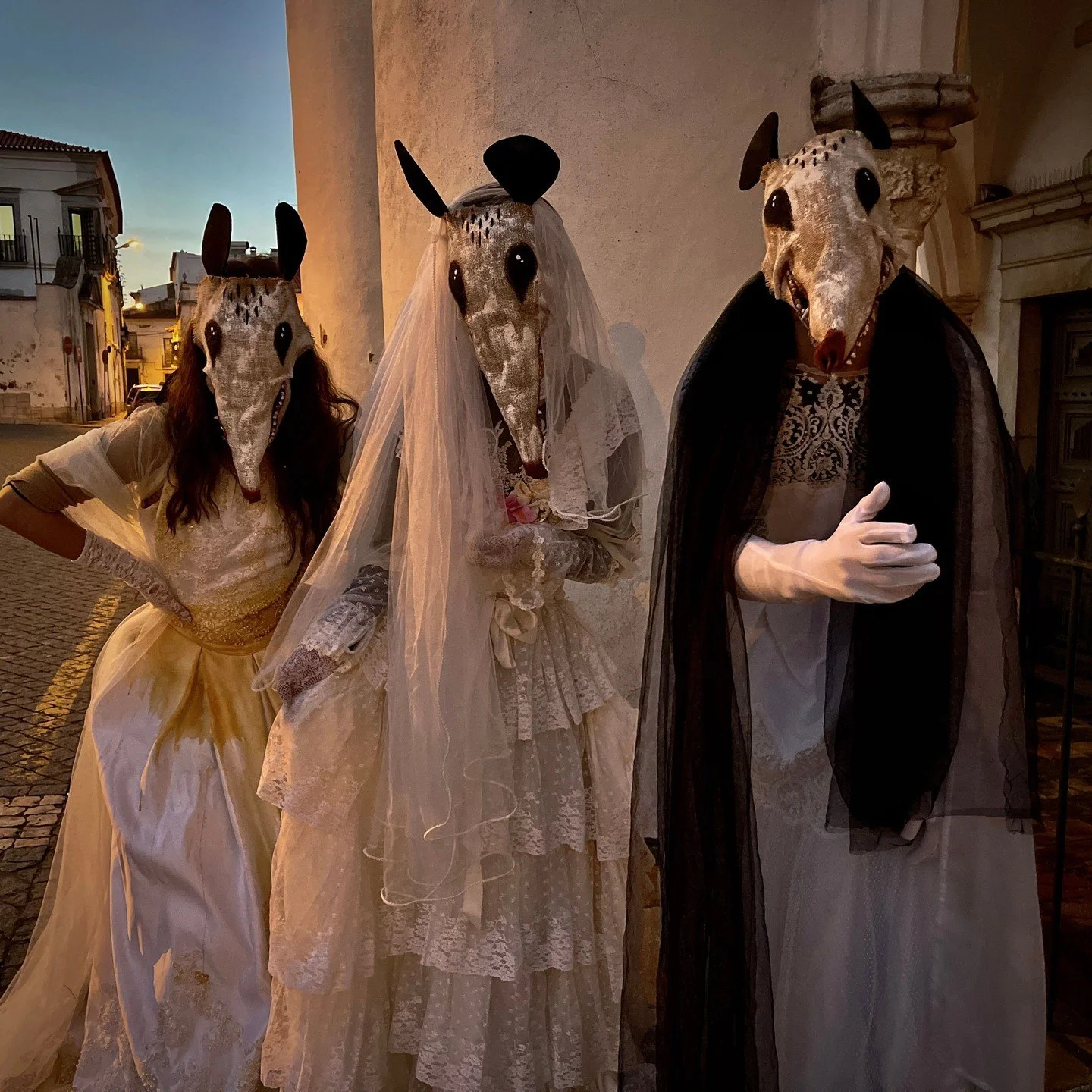 Possum Masks for Photos, Videos, Halloween, Masquerades, Parades, and Special Events
#halloween #possumcore #possummask #crookedcrowmasks