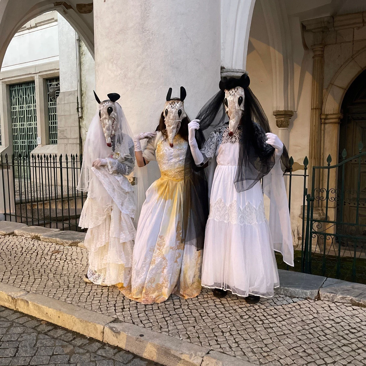 Possum Masks for Photos, Videos, Halloween, Masquerades, Parades, and Special Events
#halloween #possumcore #possummask #crookedcrowmasks