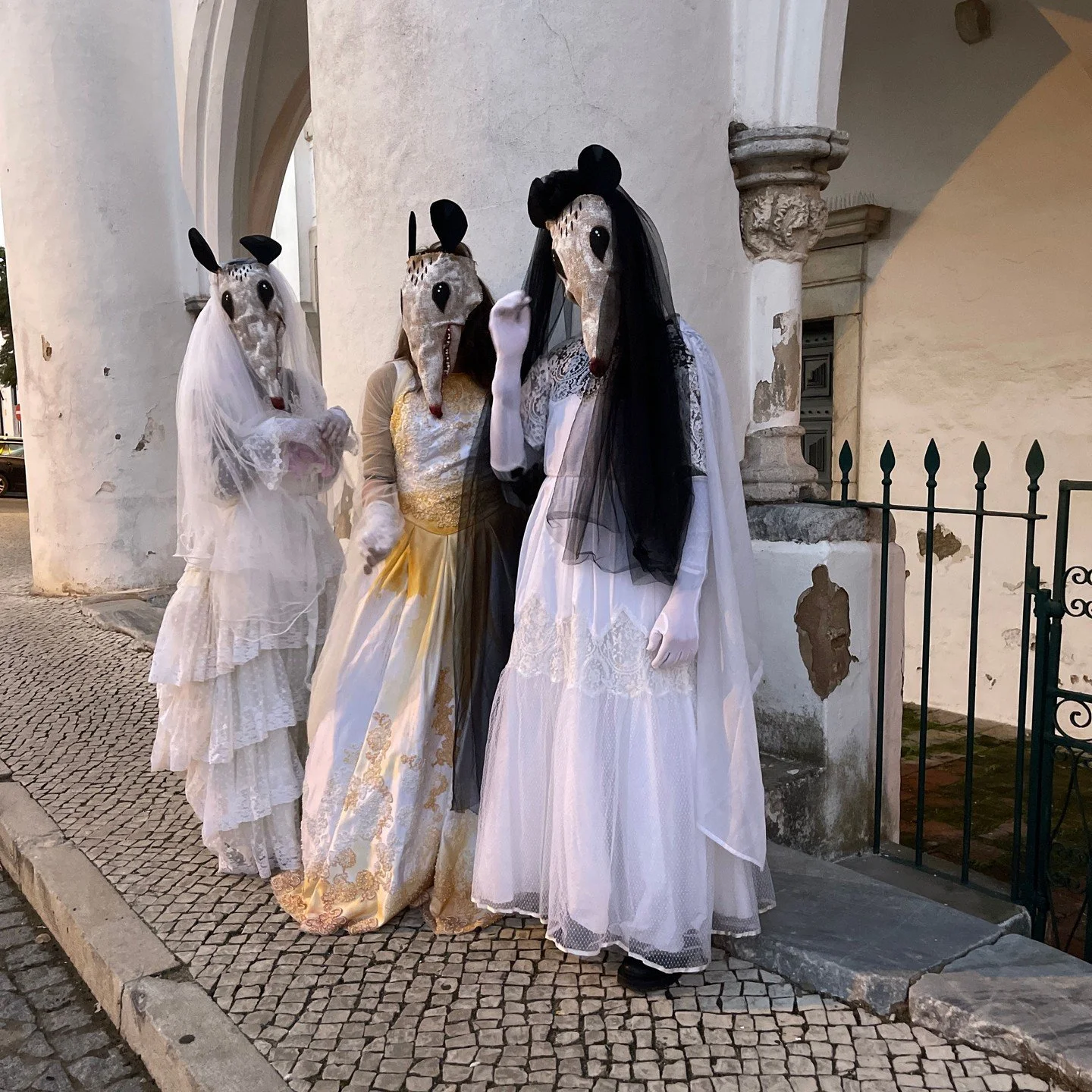 Possum Masks for Photos, Videos, Halloween, Masquerades, Parades, and Special Events
#halloween #possumcore #possummask #crookedcrowmasks