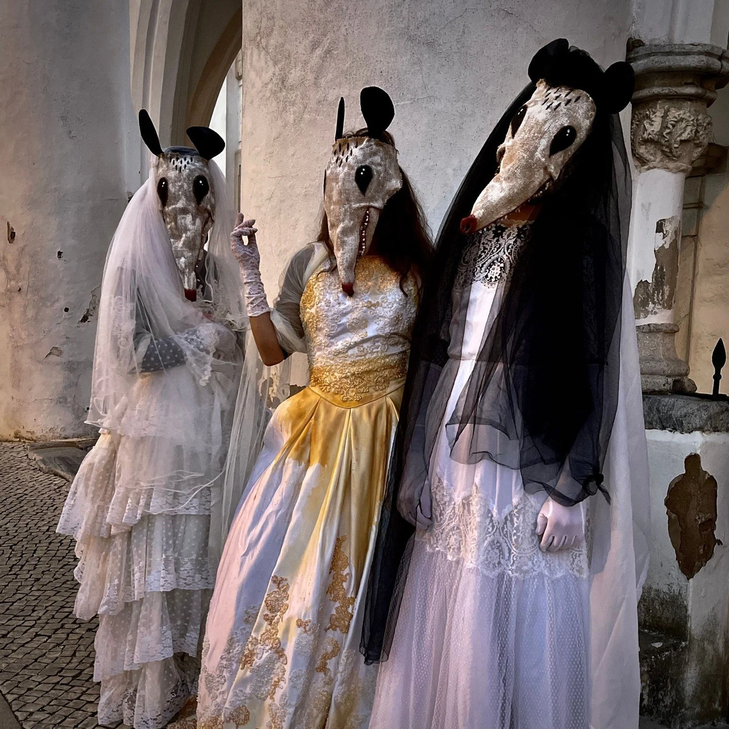 Possum Masks for Photos, Videos, Halloween, Masquerades, Parades, and Special Events
#halloween #possumcore #possummask #crookedcrowmasks