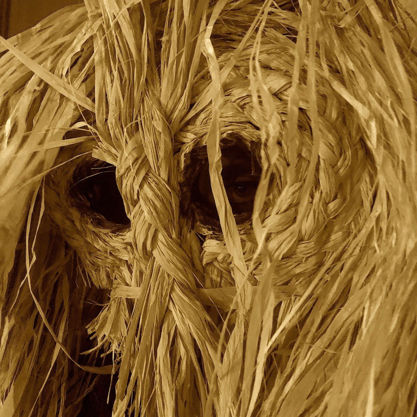 Handmade masks for photos, movies, #Halloween #carnival parades, and fun times. #raffiamask  #crookedcrowmasks #scarecrow costume by crookedcrowmasks