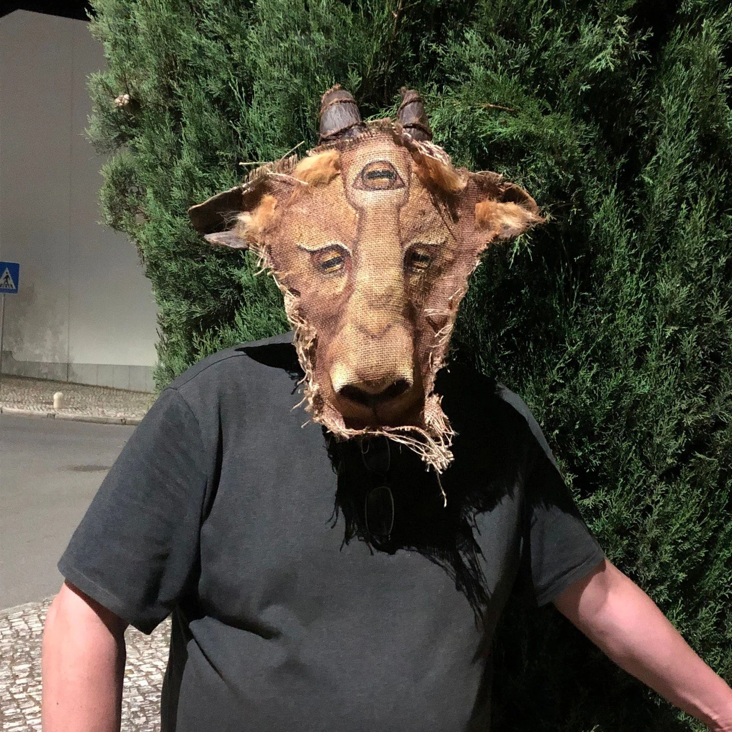 Handmade masks for theater, Halloween, parties, masquerades and fun times #cat #maskart #catmask #crookedcrowmasks