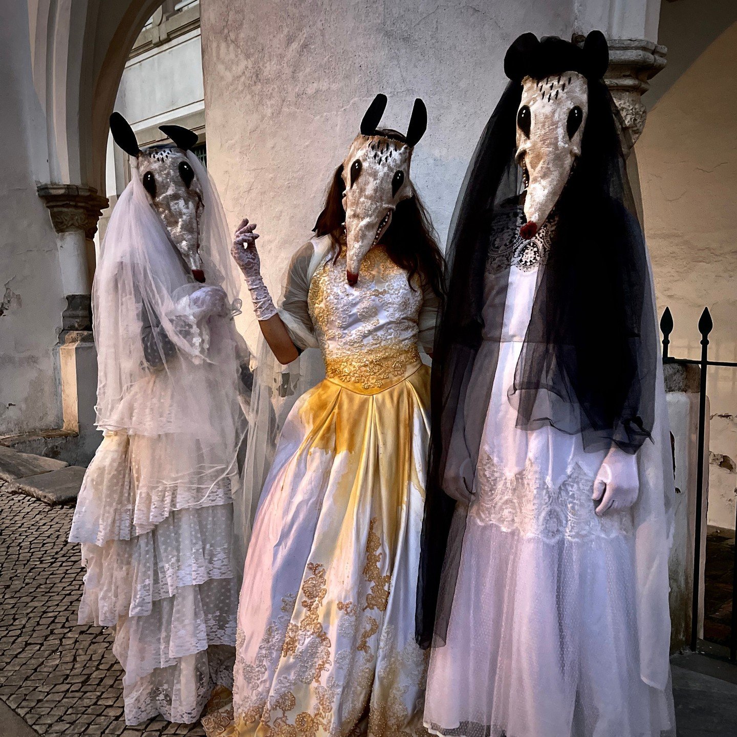 Possum Masks for Photos, Videos, Halloween, Masquerades, Parades, and Special Events
#halloween #possumcore #possummask #crookedcrowmasks