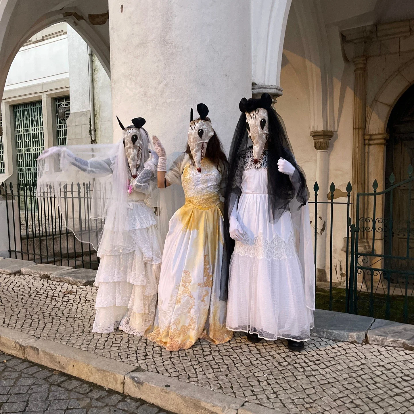 Possum Masks for Photos, Videos, Halloween, Masquerades, Parades, and Special Events
#halloween #possumcore #possummask #crookedcrowmasks