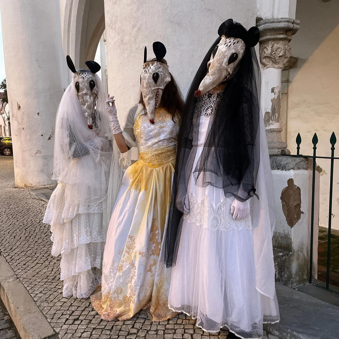 Possum Masks for Photos, Videos, Halloween, Masquerades, Parades, and Special Events
#halloween #possumcore #possummask #crookedcrowmasks