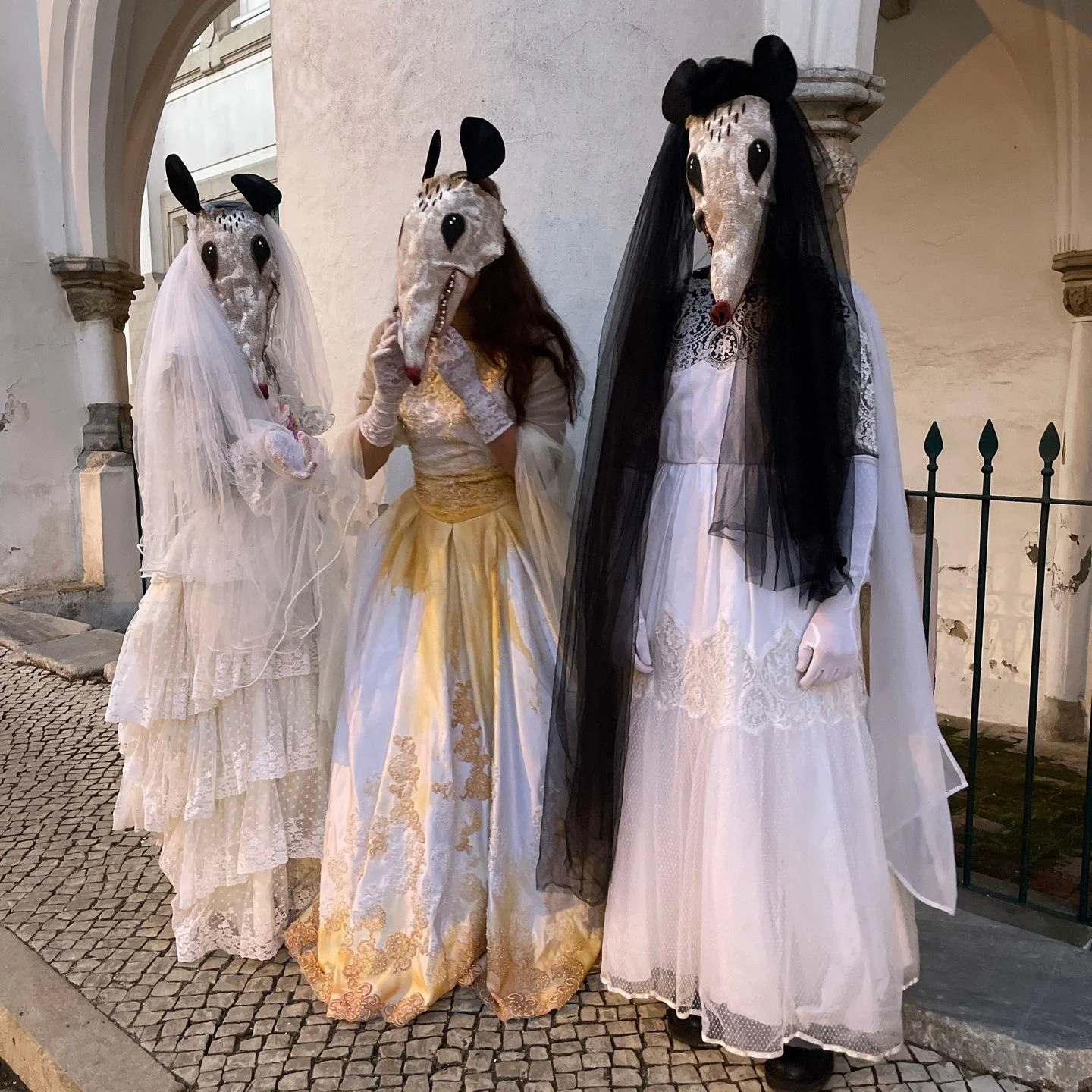 Possum Masks for Photos, Videos, Halloween, Masquerades, Parades, and Special Events
#halloween #possumcore #possummask #crookedcrowmasks