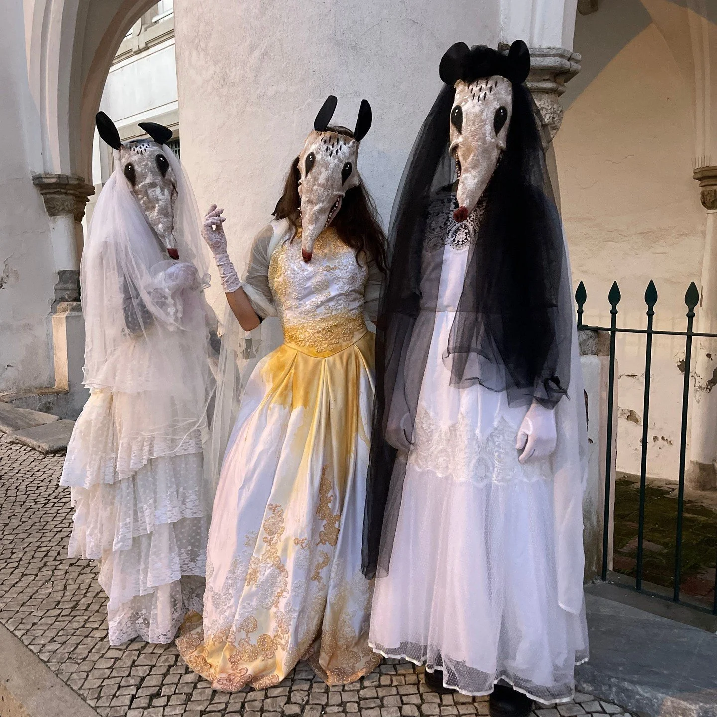 Possum Masks for Photos, Videos, Halloween, Masquerades, Parades, and Special Events
#halloween #possumcore #possummask #crookedcrowmasks