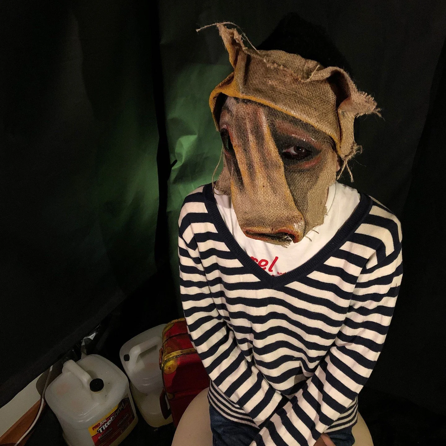 Handmade masks for movies, Halloween, parties, masquerades and fun times  #maskart #mask #props #cryptid #crookedcrowmasks