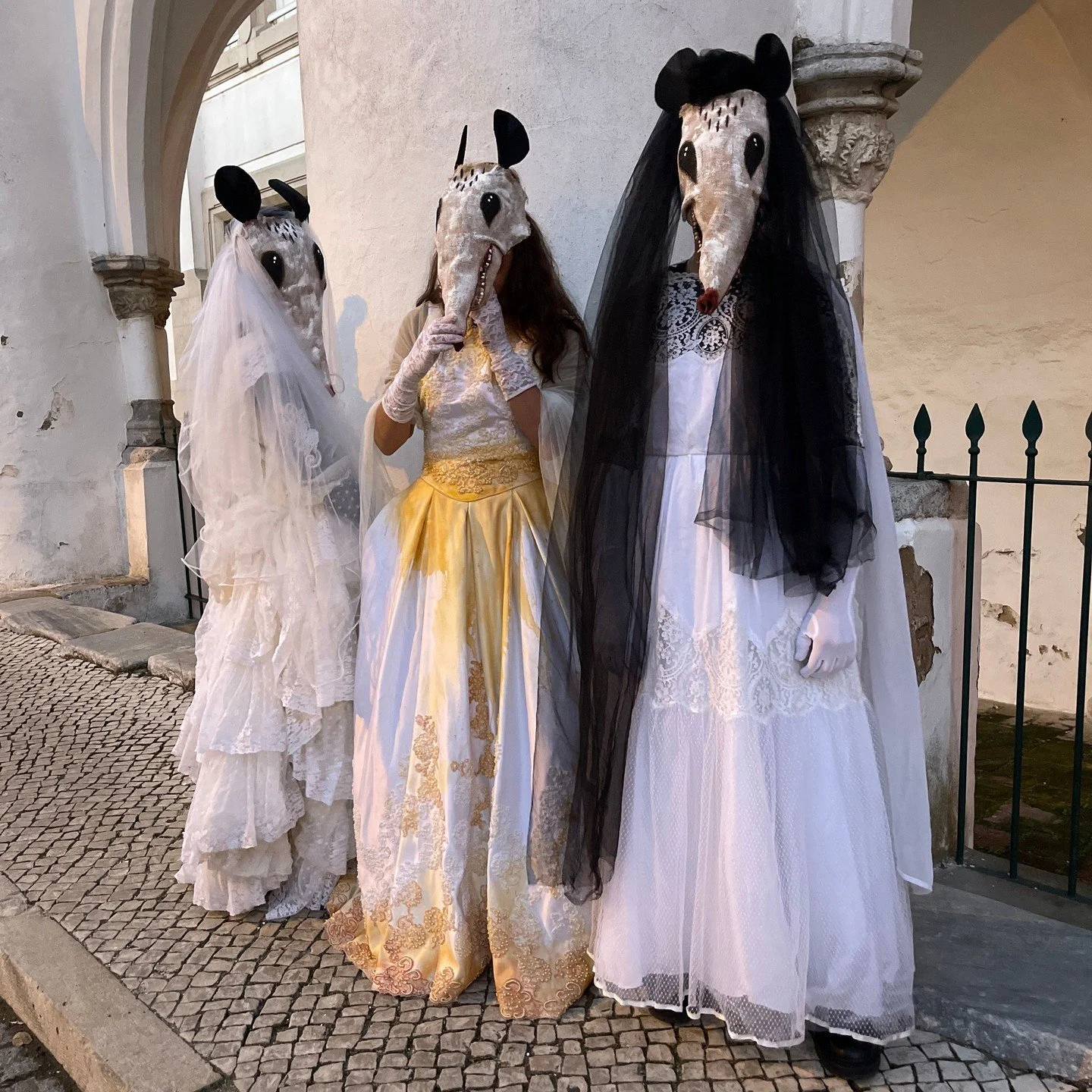 Possum Masks for Photos, Videos, Halloween, Masquerades, Parades, and Special Events
#halloween #possumcore #possummask #crookedcrowmasks