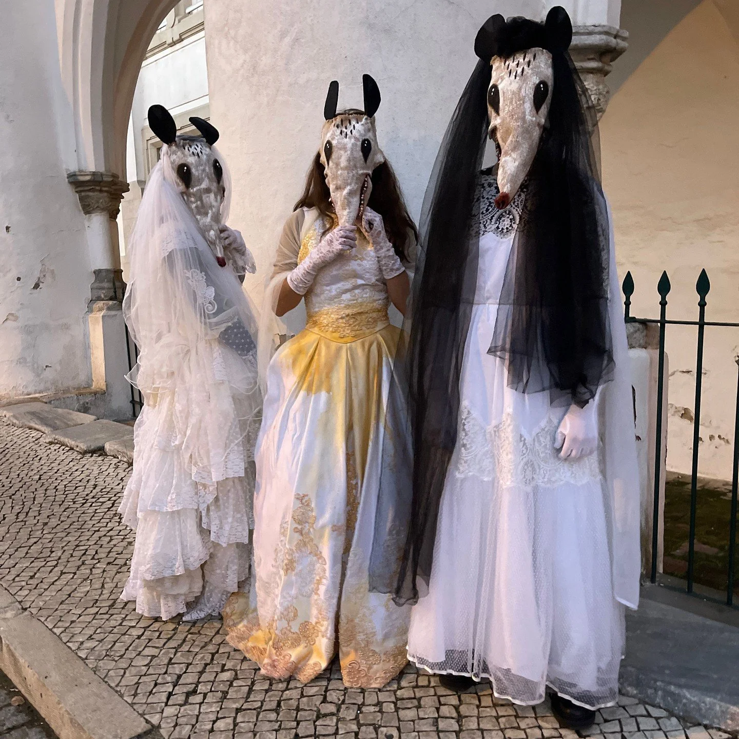 Possum Masks for Photos, Videos, Halloween, Masquerades, Parades, and Special Events
#halloween #possumcore #possummask #crookedcrowmasks
