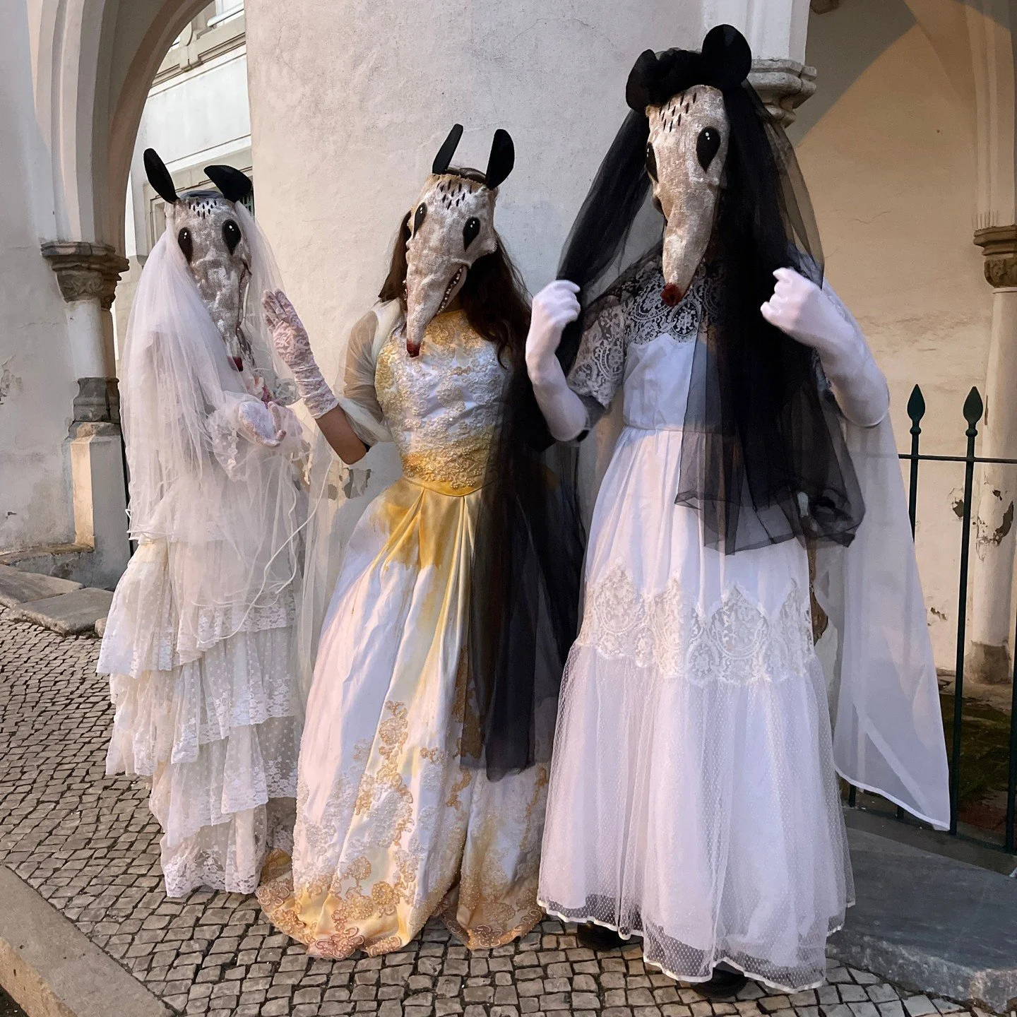 Possum Masks for Photos, Videos, Halloween, Masquerades, Parades, and Special Events
#halloween #possumcore #possummask #crookedcrowmasks