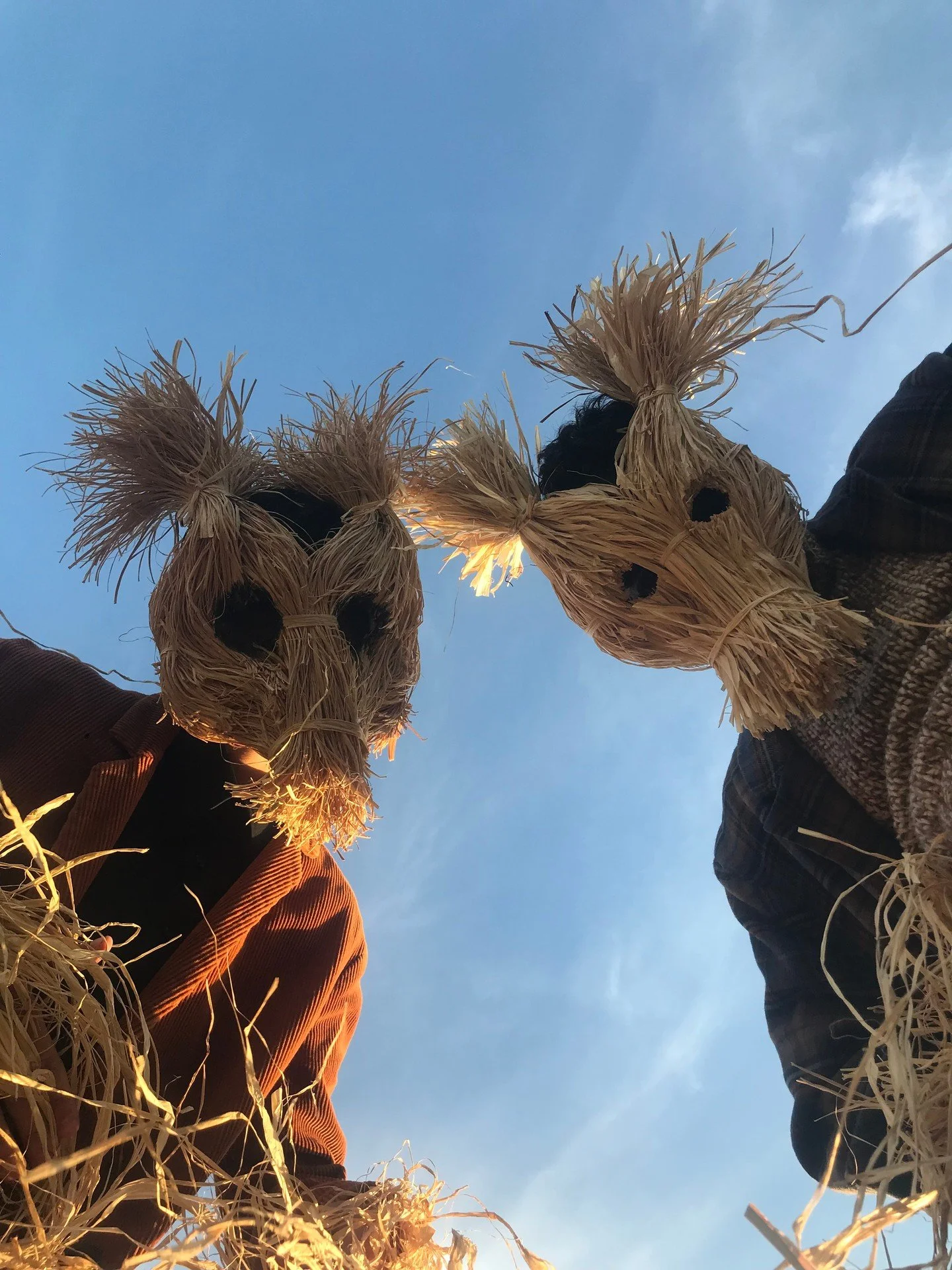 Handmade masks for movie props, haunted house, concert and stage, and fun times. Halloween, masquerade, costume parties and videos. #crookedcrowmasks #handmademasks #creepy #halloween This mask is available.