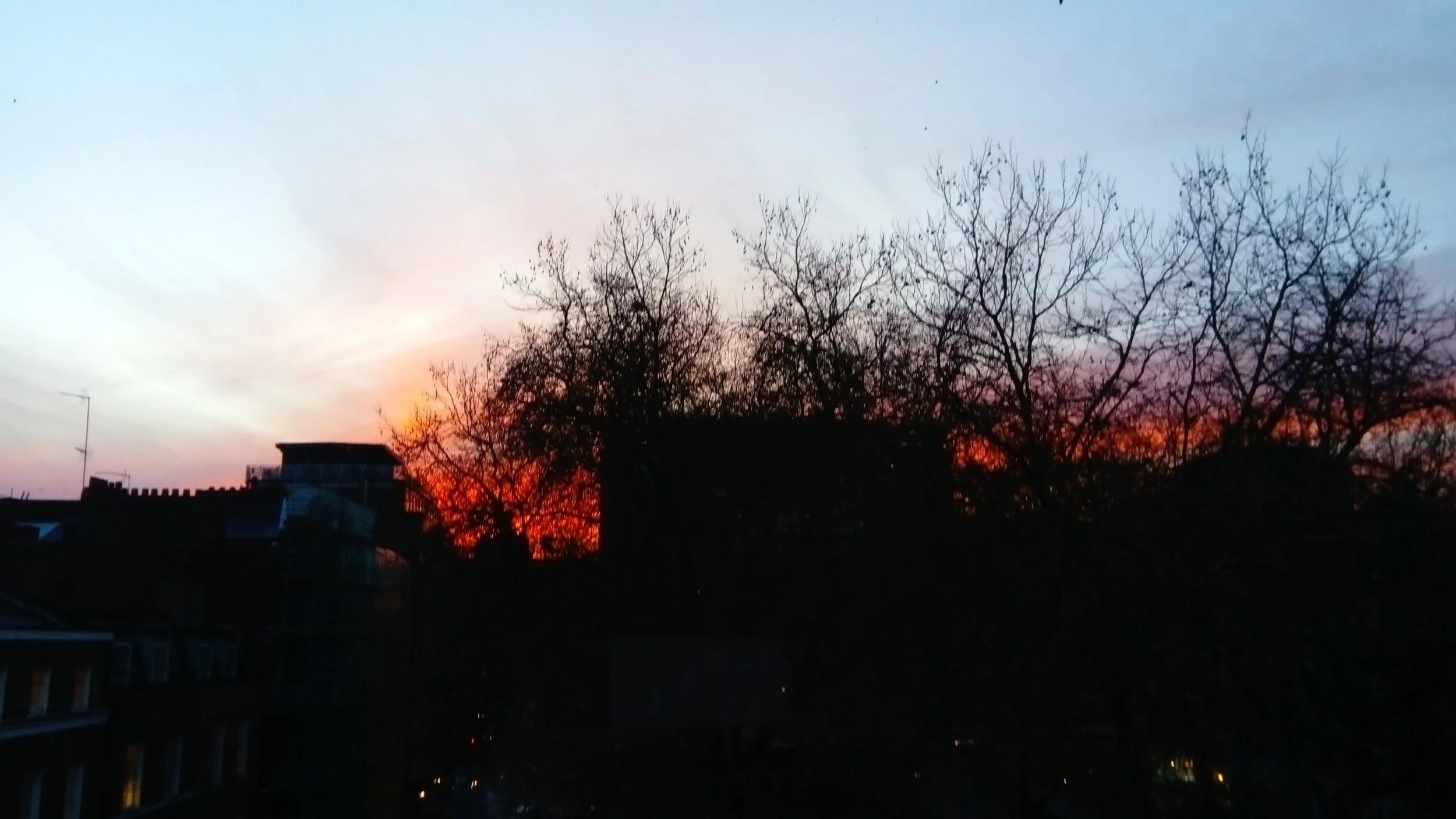 DSC_0560.JPG