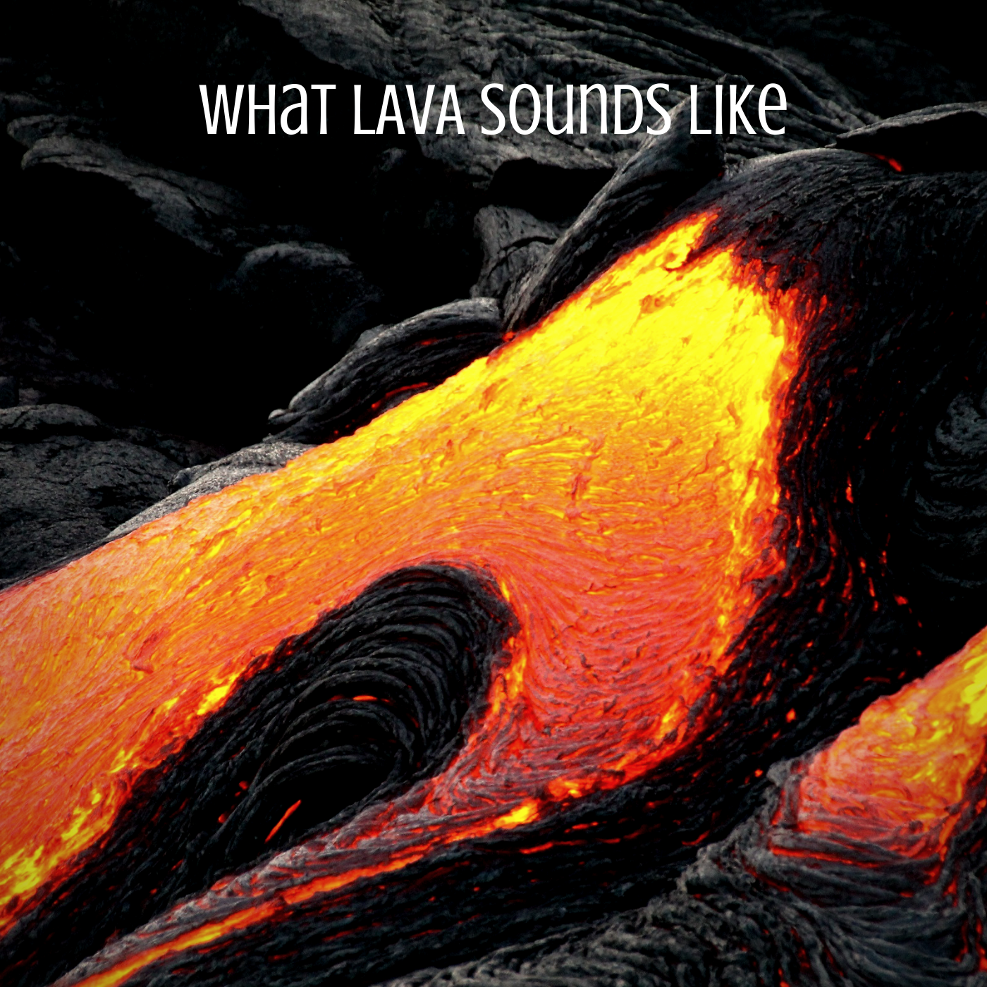 Untitled Design 8.PNG