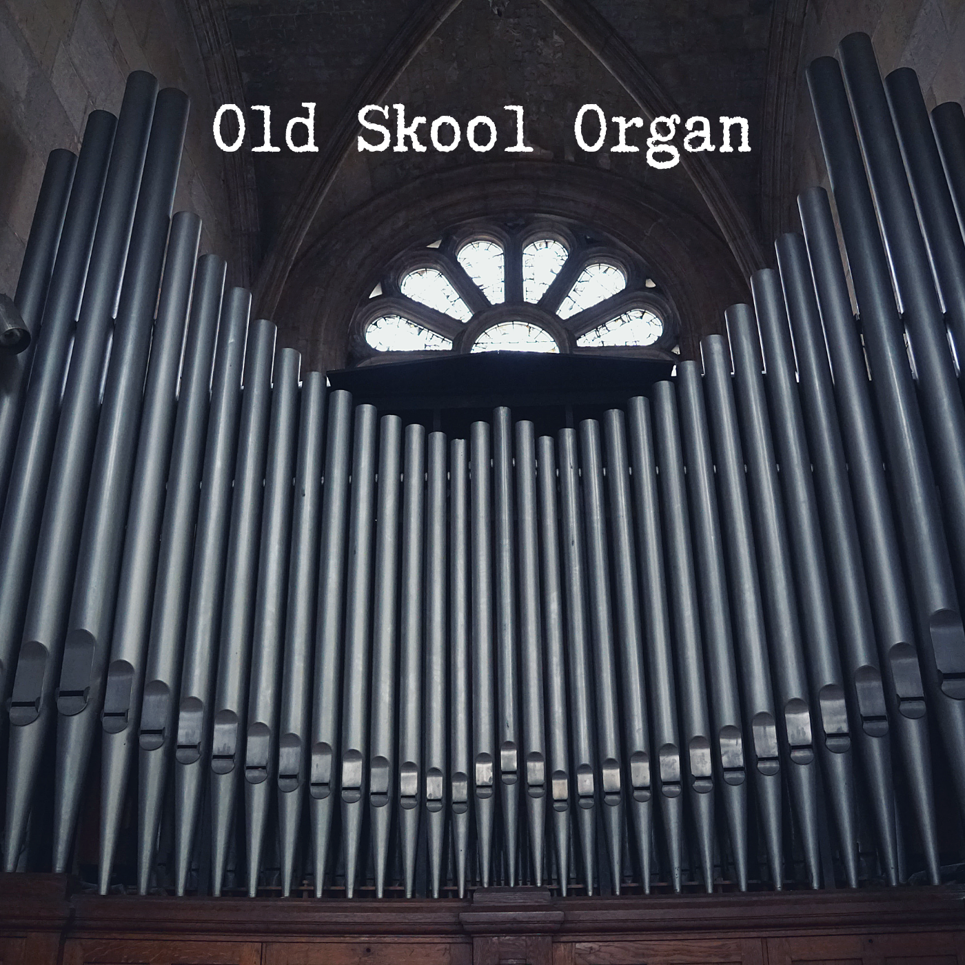 Untitled Design 11.PNG