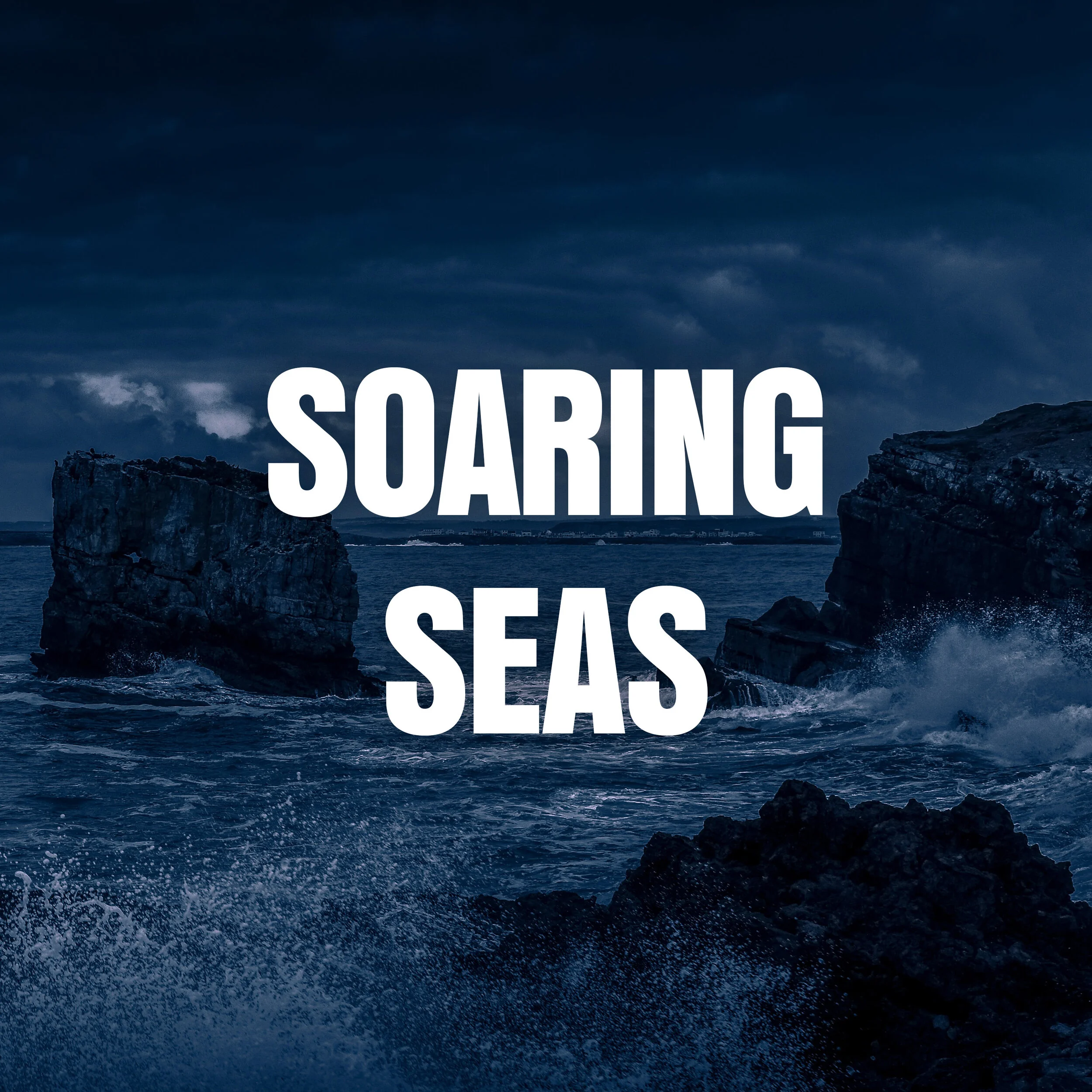SoaringSeas_Square.jpg