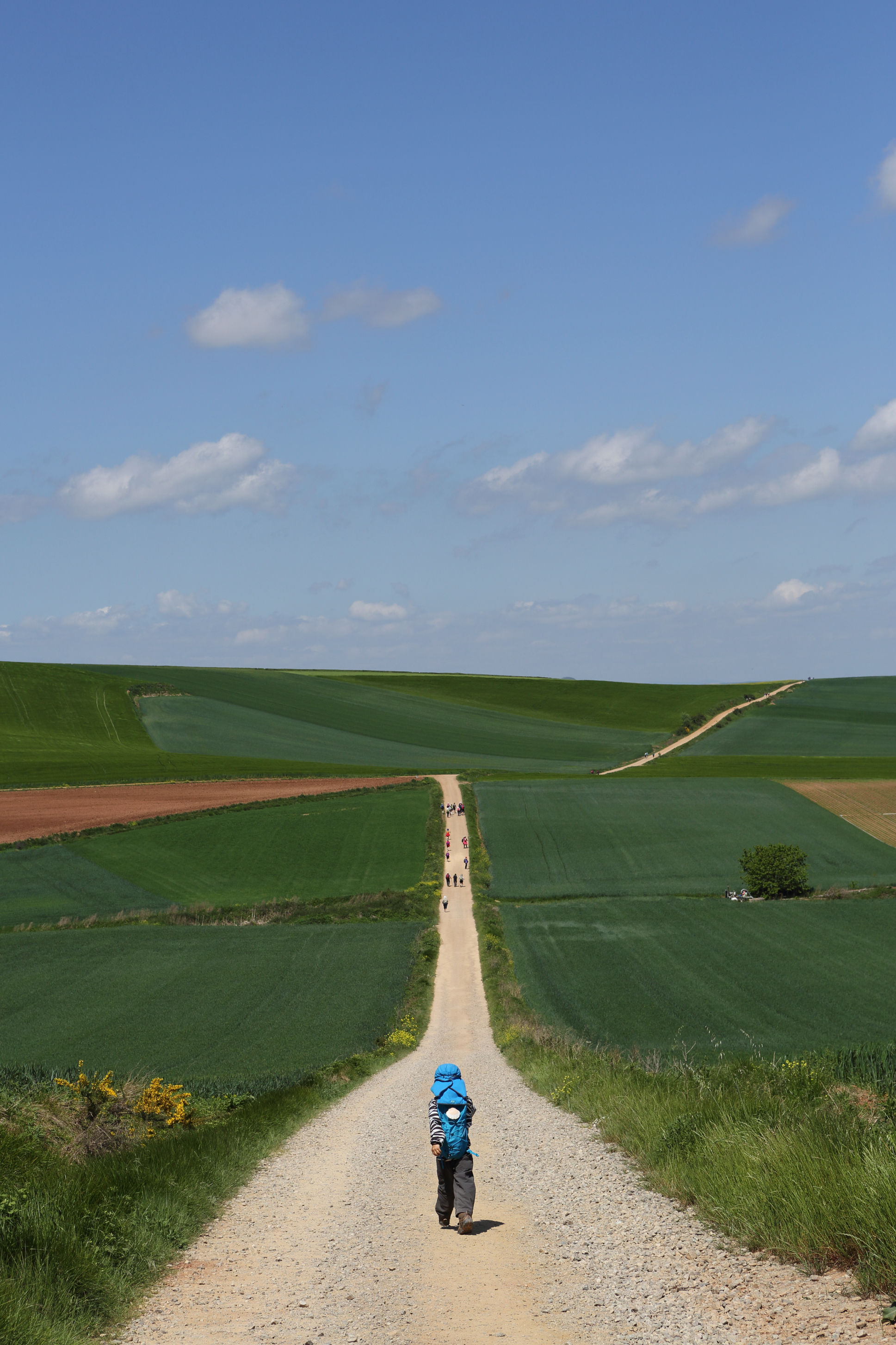  A young Korean boy takes off ahead of his parents while hiking 800kms along the Camino de Santiago in Spain. 