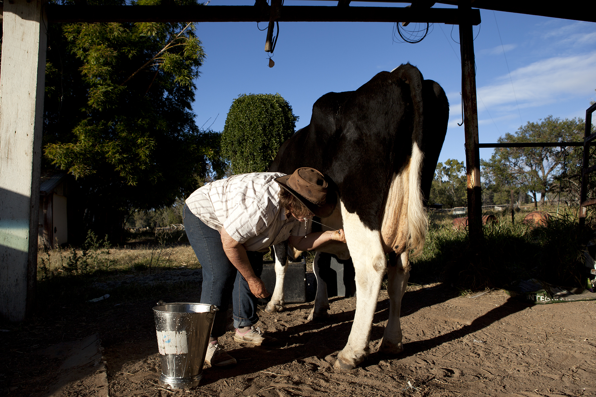 Straight from the cow’s teat, Duaringa.