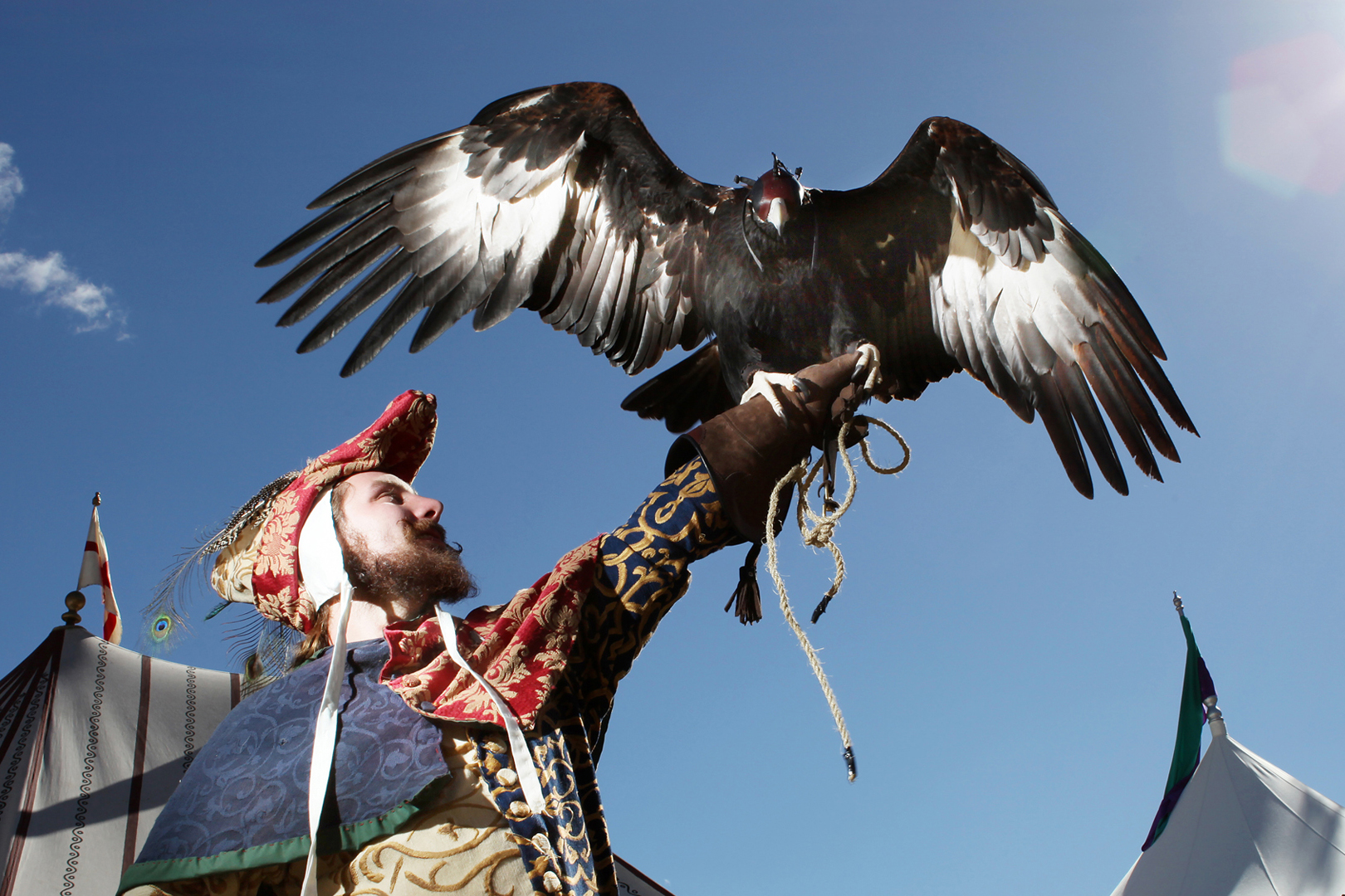 Eagle trainer, Abbey Medieval Festival.