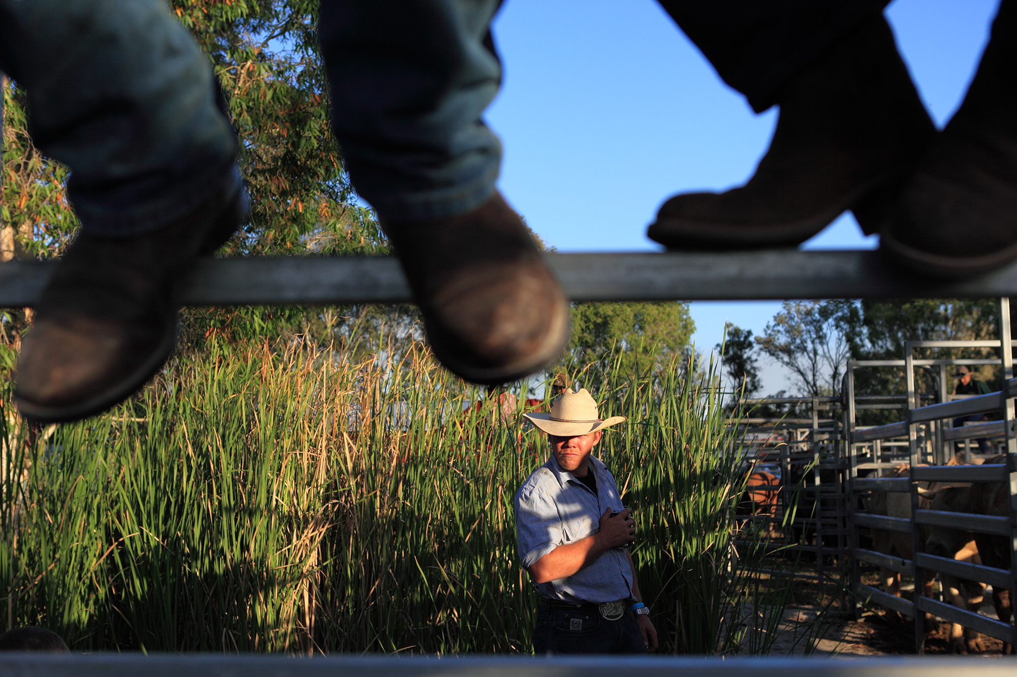  A cowboy pauses for a moment before his ride at the Caliope rodeo in Queensland.  