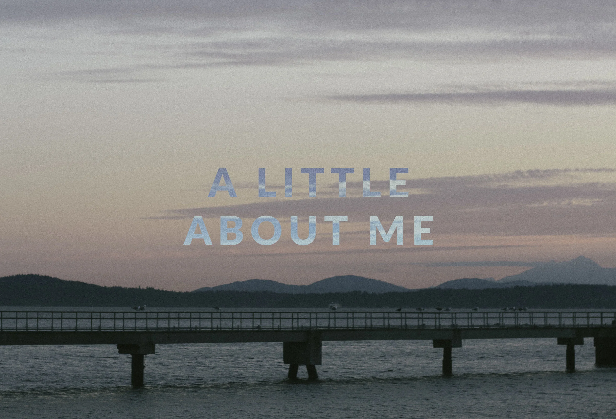 NSNW ABOUT Banner.jpg