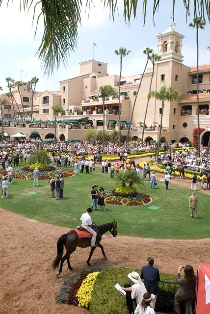 *image from arizonafoothills.com