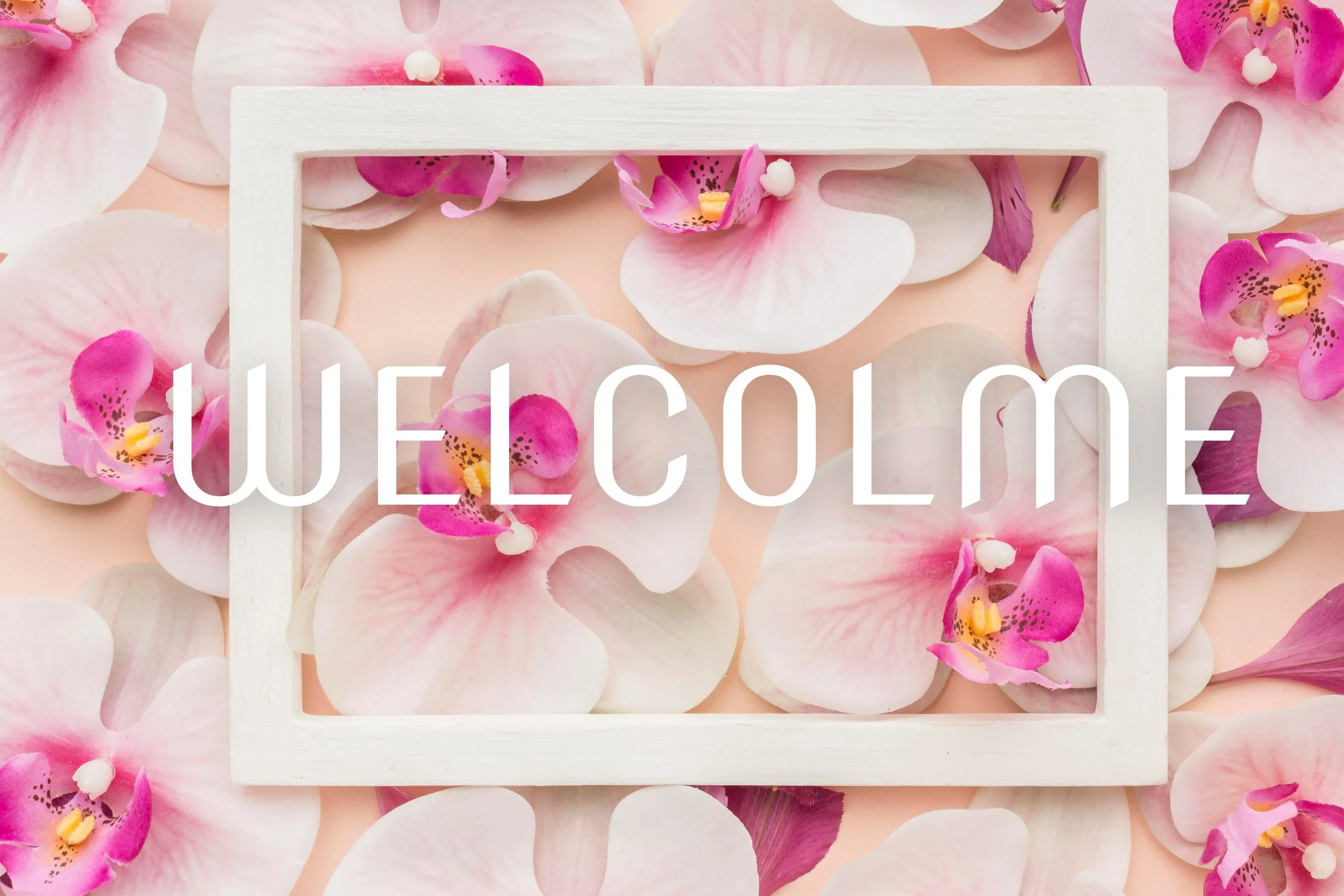 top-view-orchids-with-frame.jpg