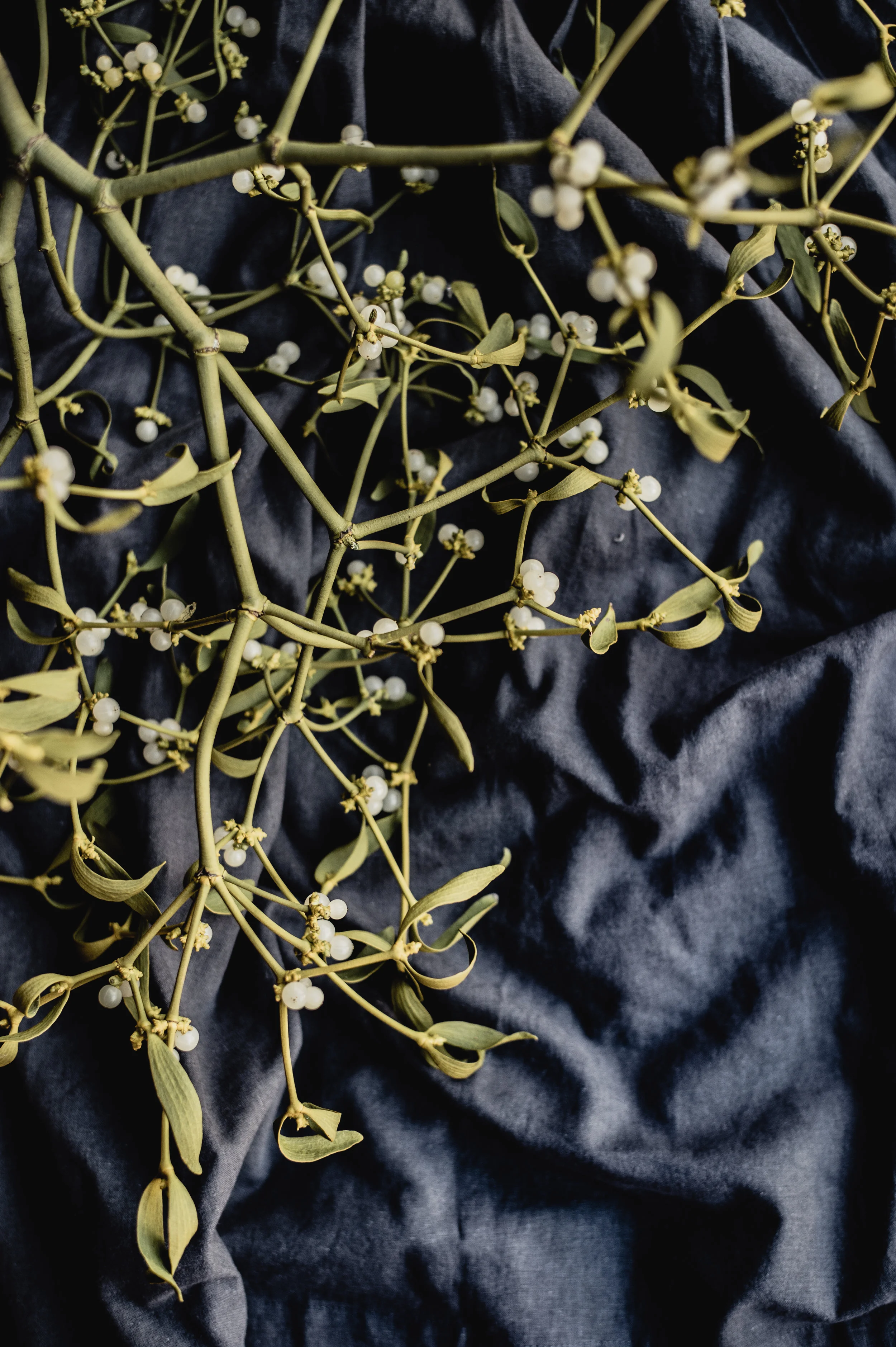 photo by Annie Spratt via unsplash