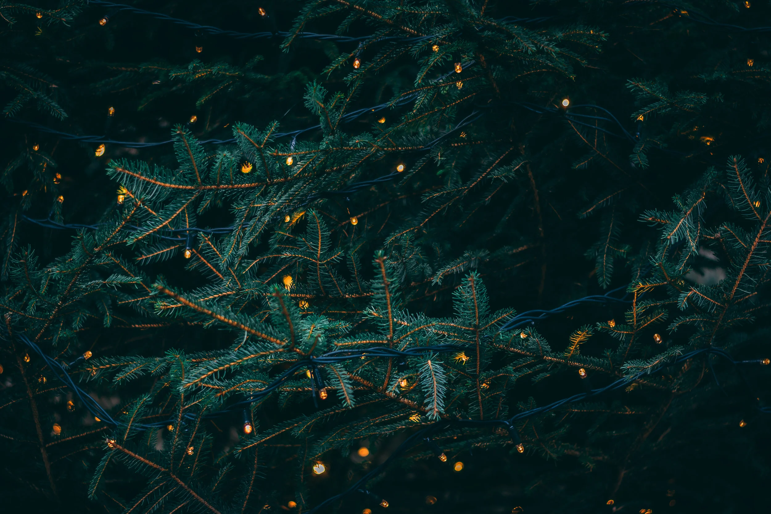 photo by Kieran white via unsplash