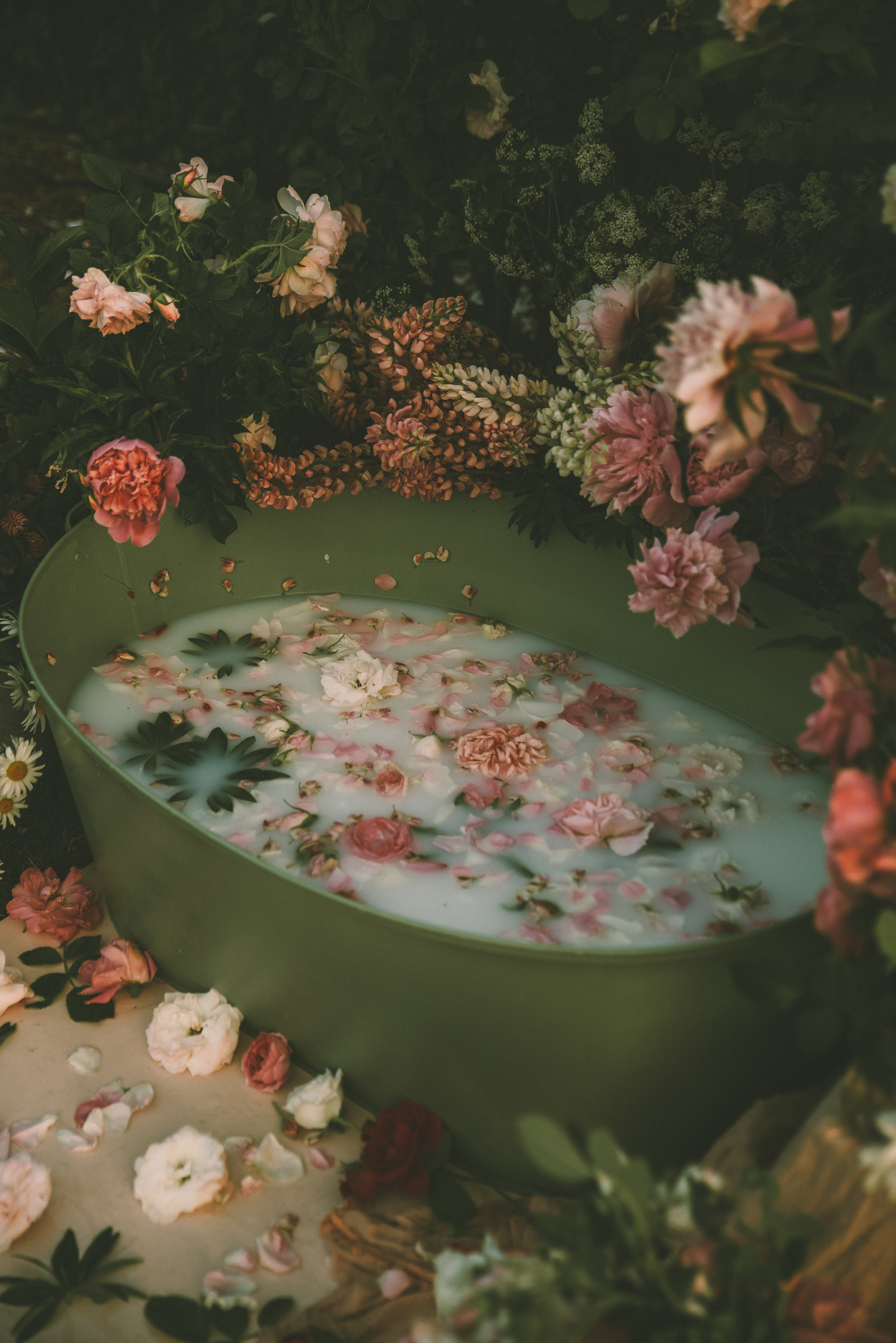 photo by Anita austvika via unsplash.