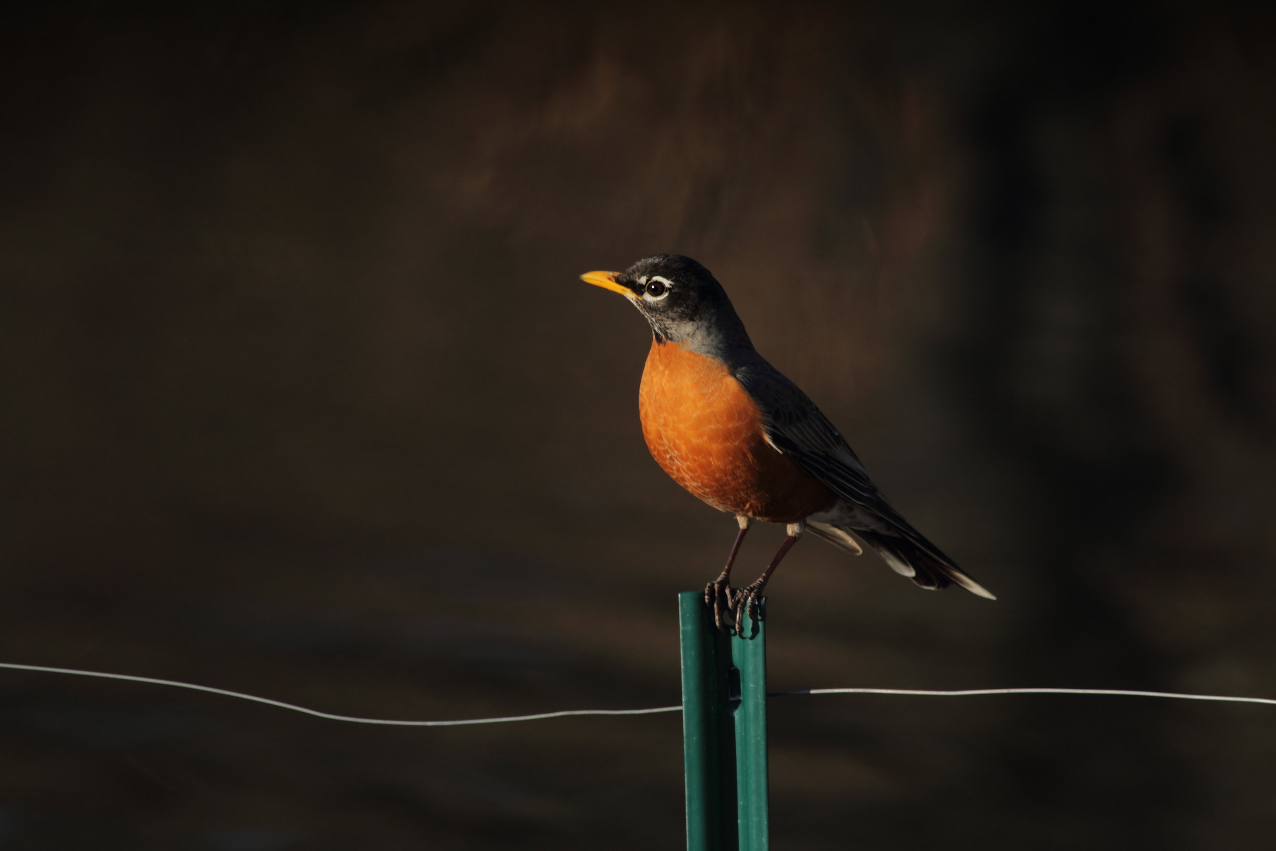 image by Gary Bendig via unsplash.