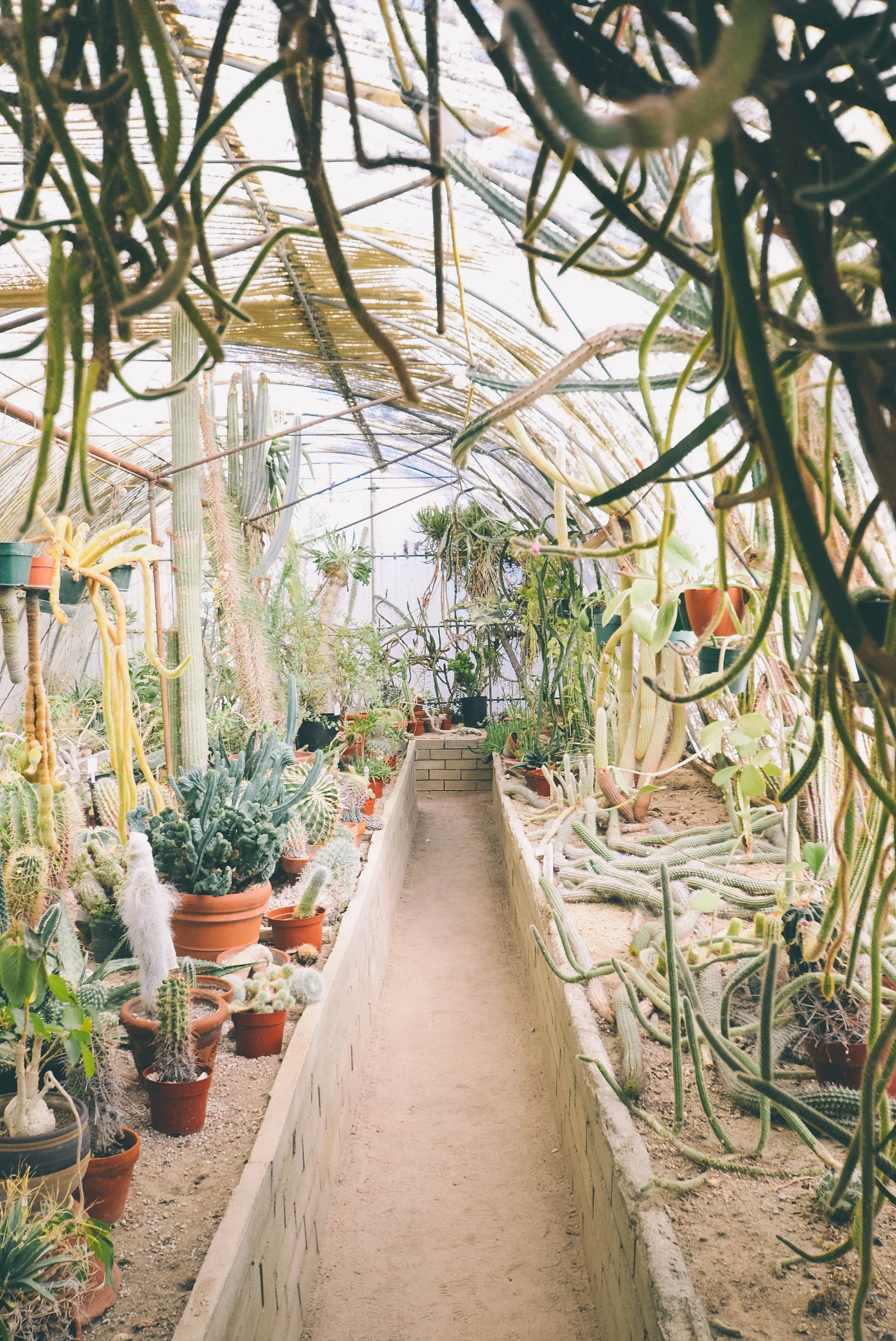 photo by Chelsea Bock via unsplash.