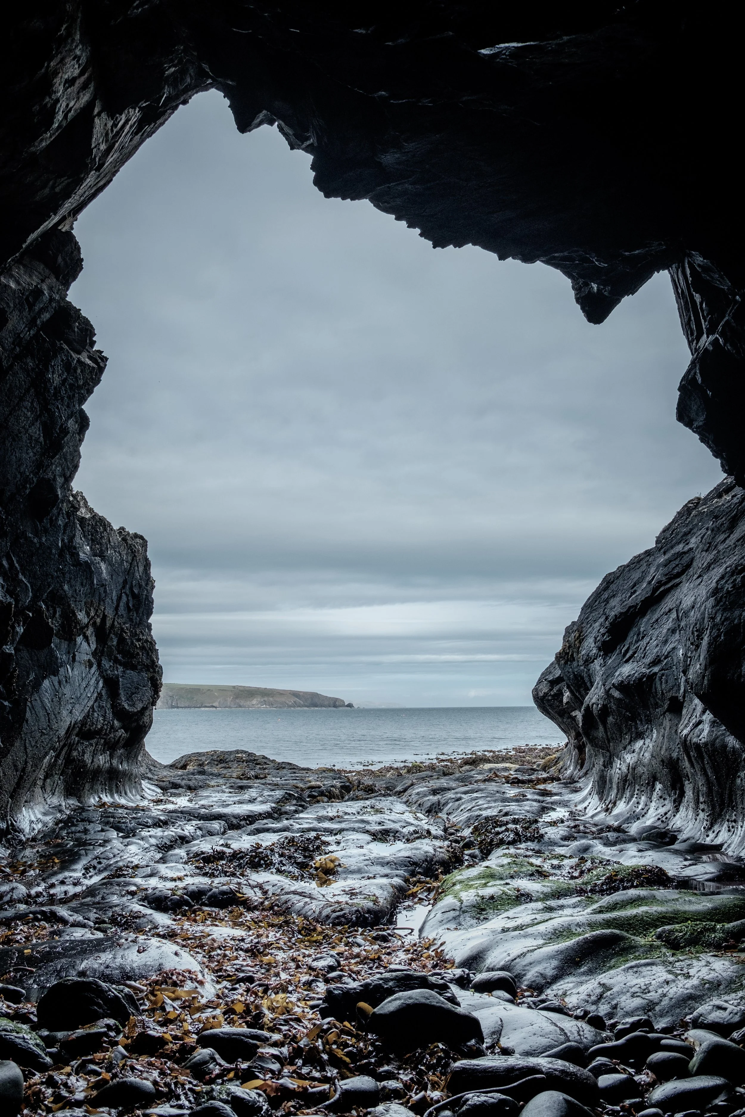 image by Marco Molitor via unsplash