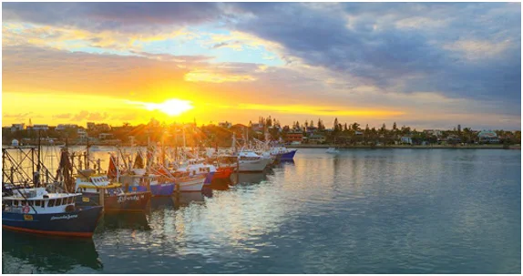 mooloolah-fish-marina-services.jpg