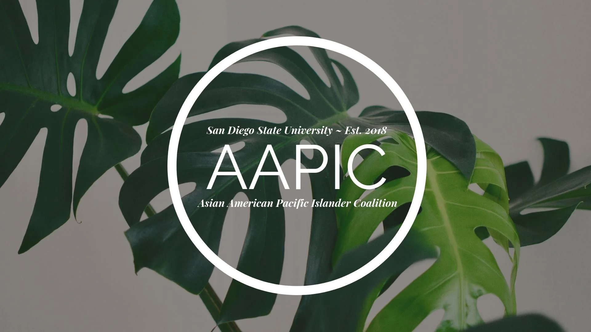 AAPIC Logo.jpg